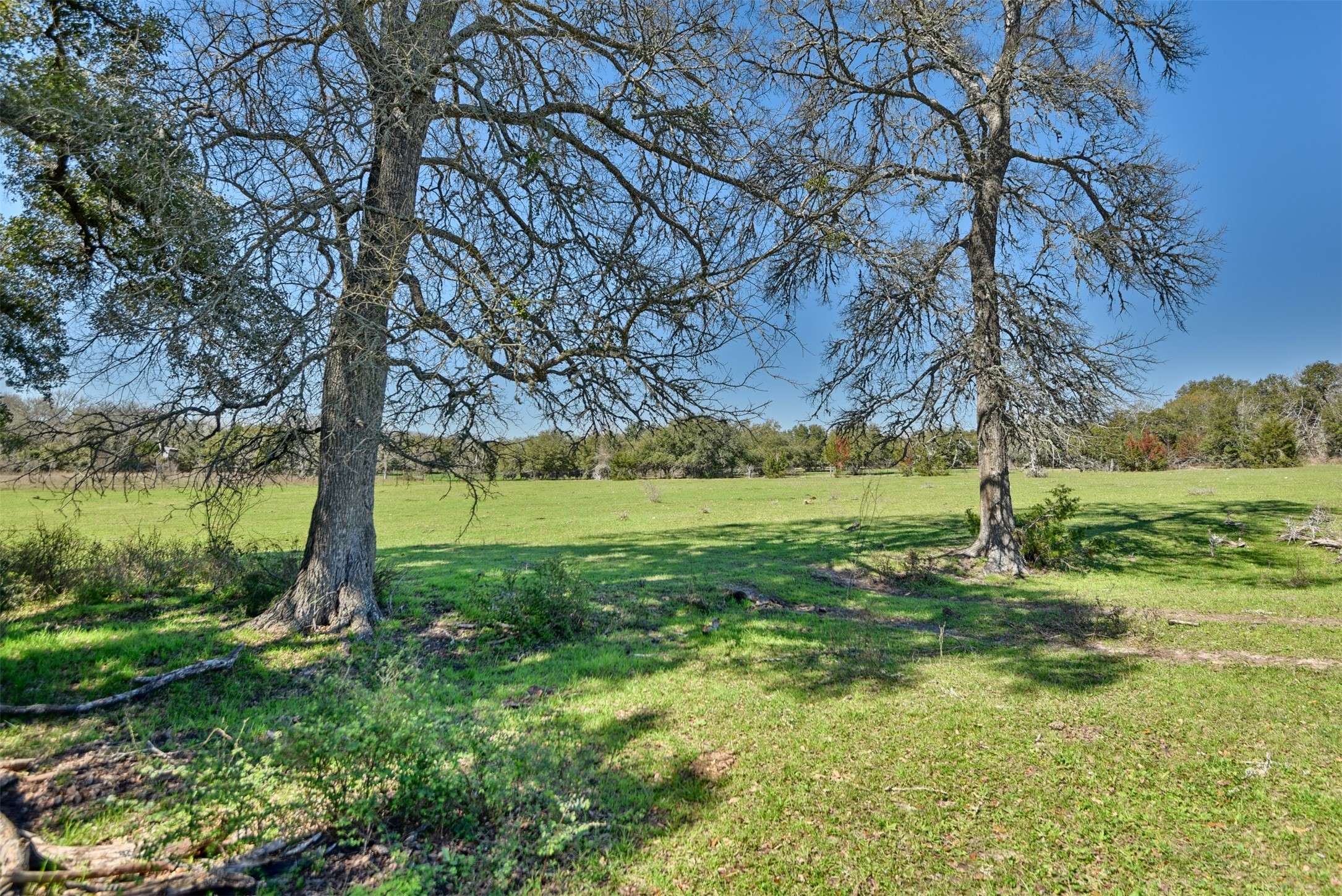 Fayetteville, TX 78940,TBD Fm 954