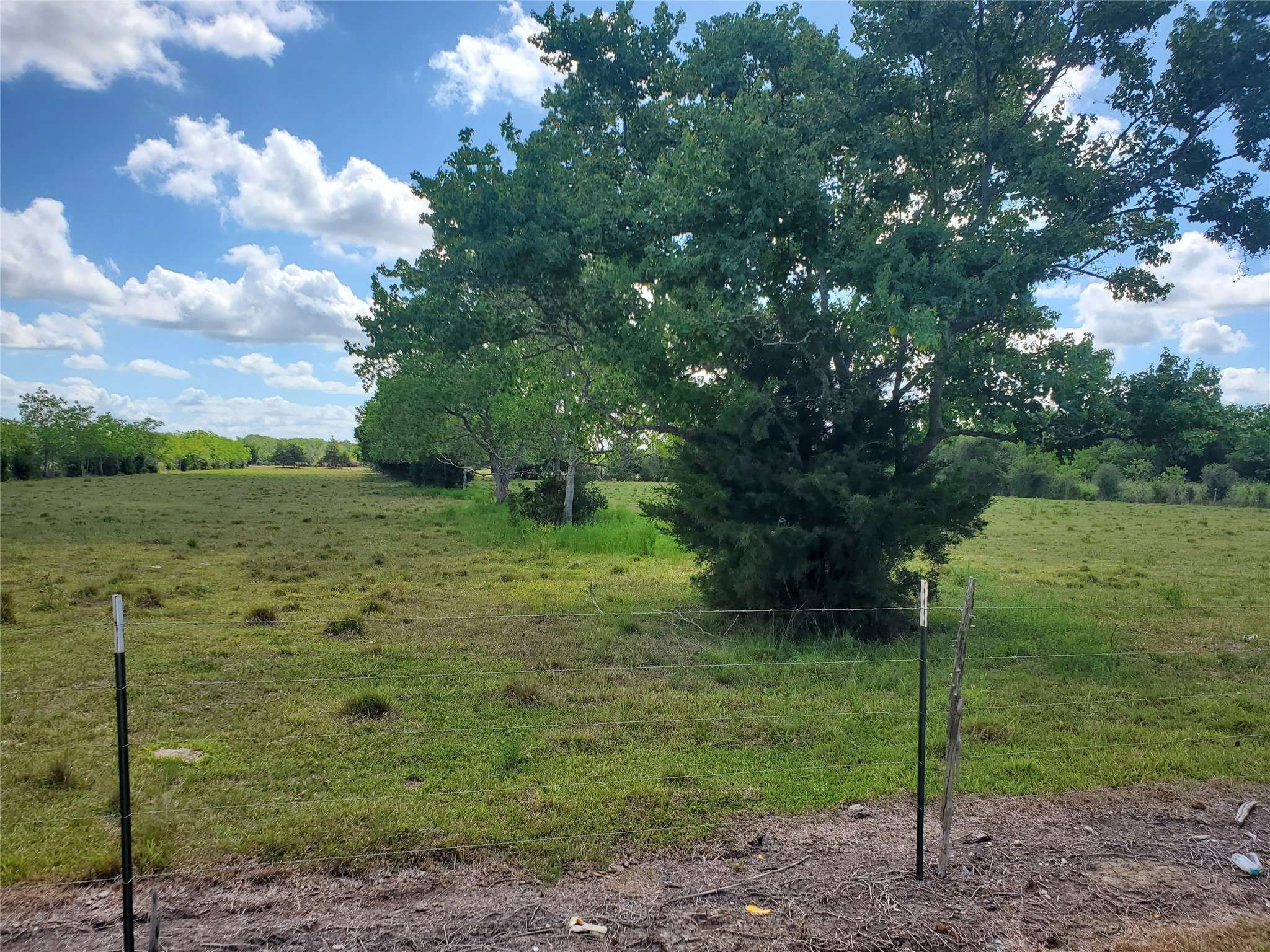 Iowa Colony, TX 77583,10 acres County Road 80  Pursley