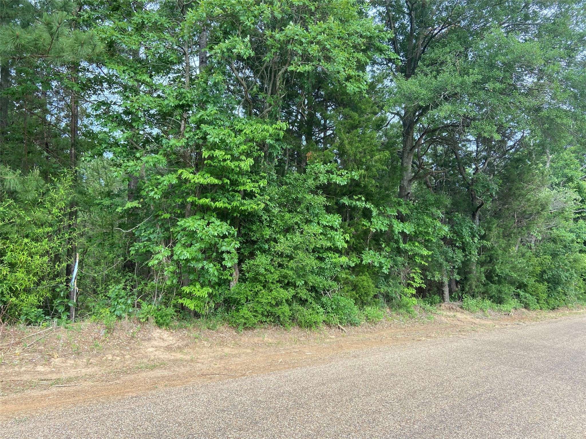 Frankston, TX 75763,LOT 1 CR 4224