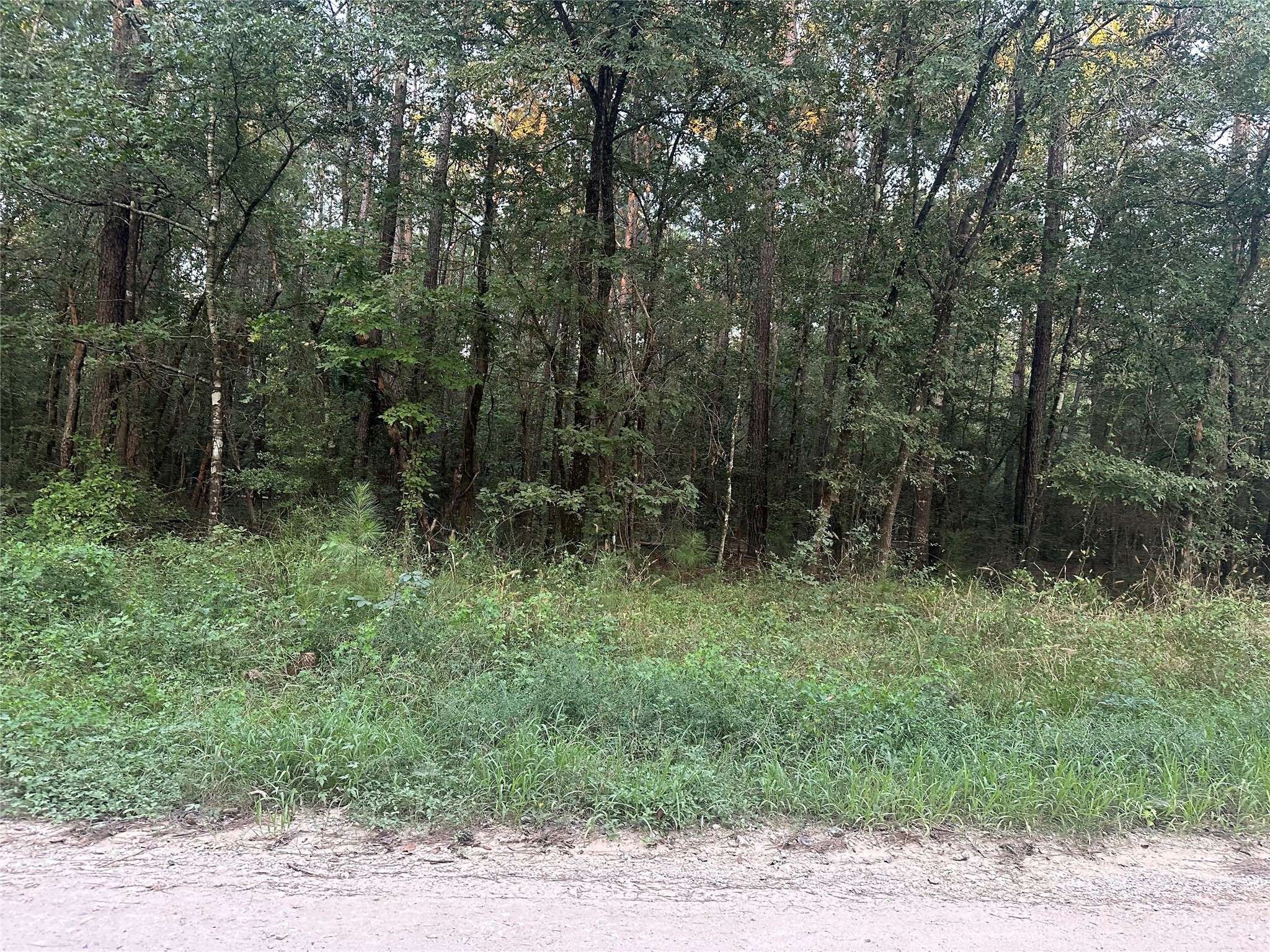 Coldspring, TX 77331,2103 Jenkins RD