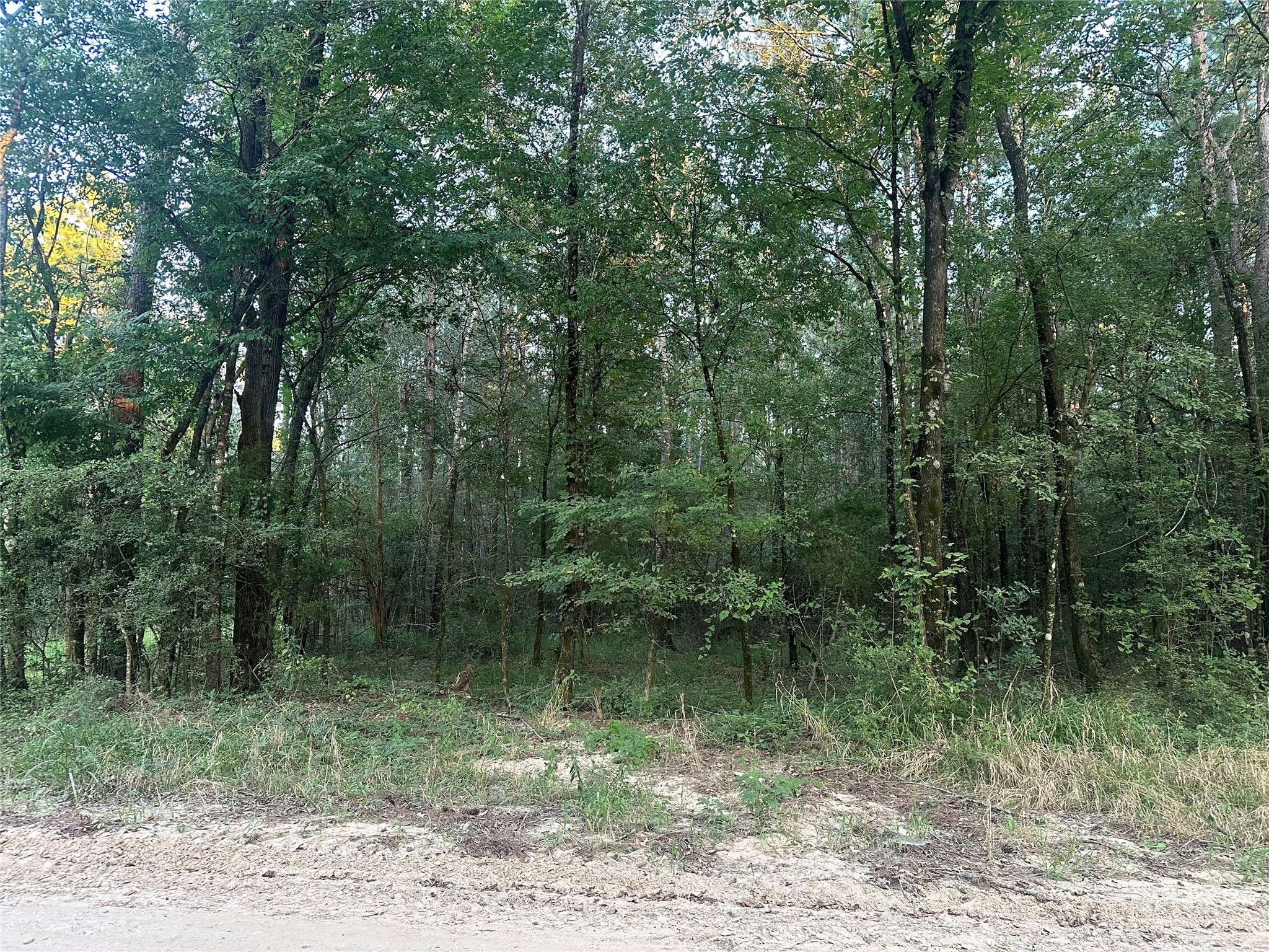 Coldspring, TX 77331,2103 Jenkins RD
