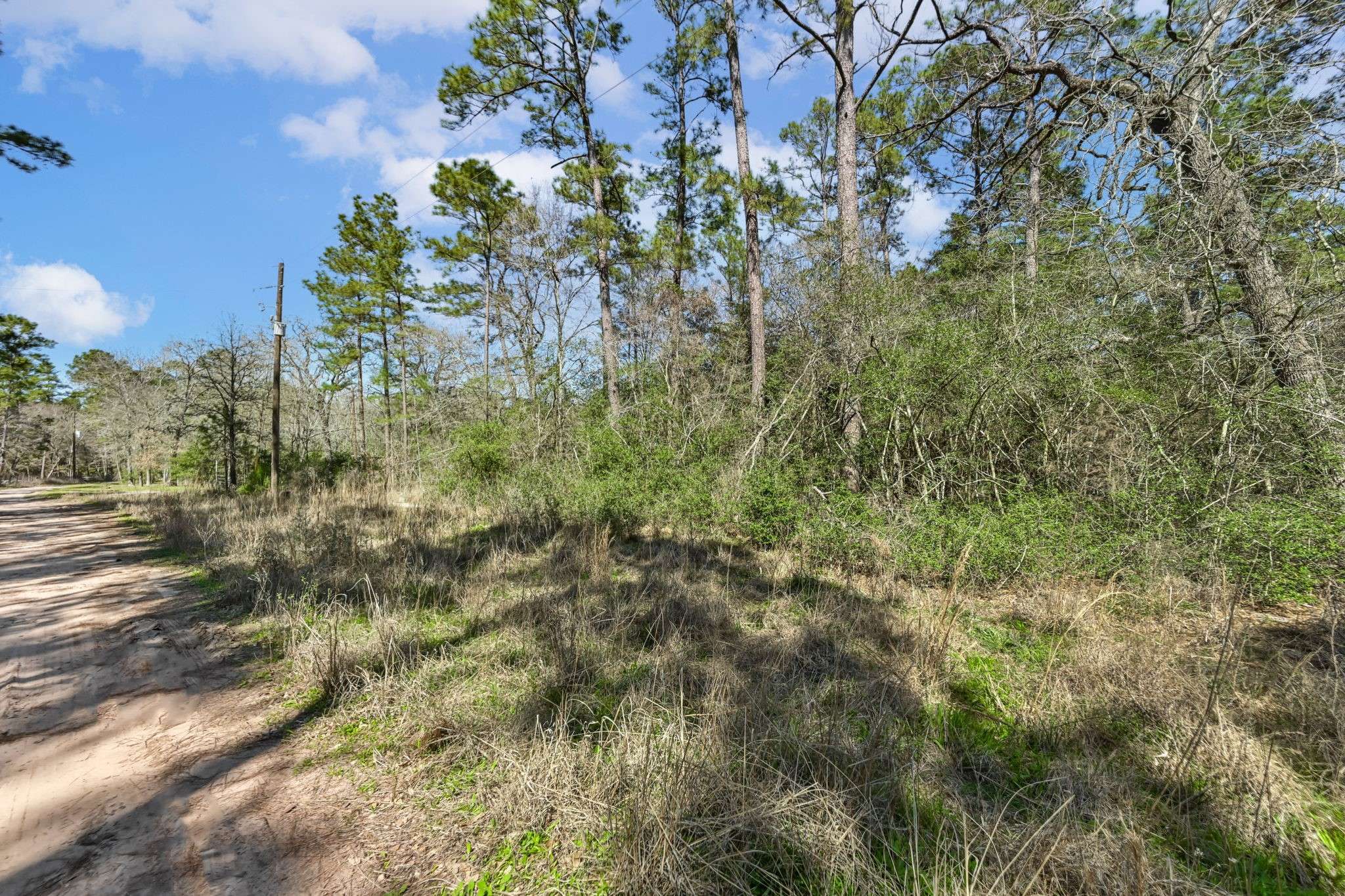 Plantersville, TX 77363,N/A Blue Lake DR