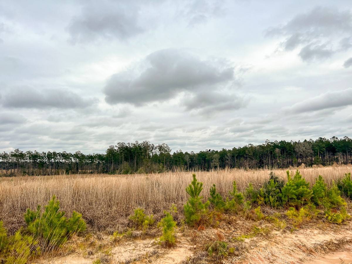 Moscow, TX 75960,00000 Hardin Hideout Rd