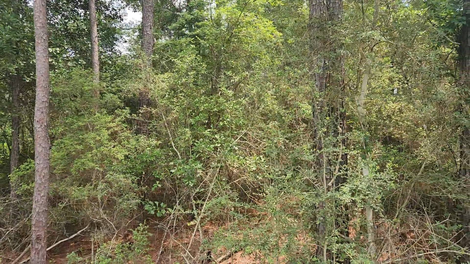 Plantersville, TX 77363,Lot 4 Smokethorn LN