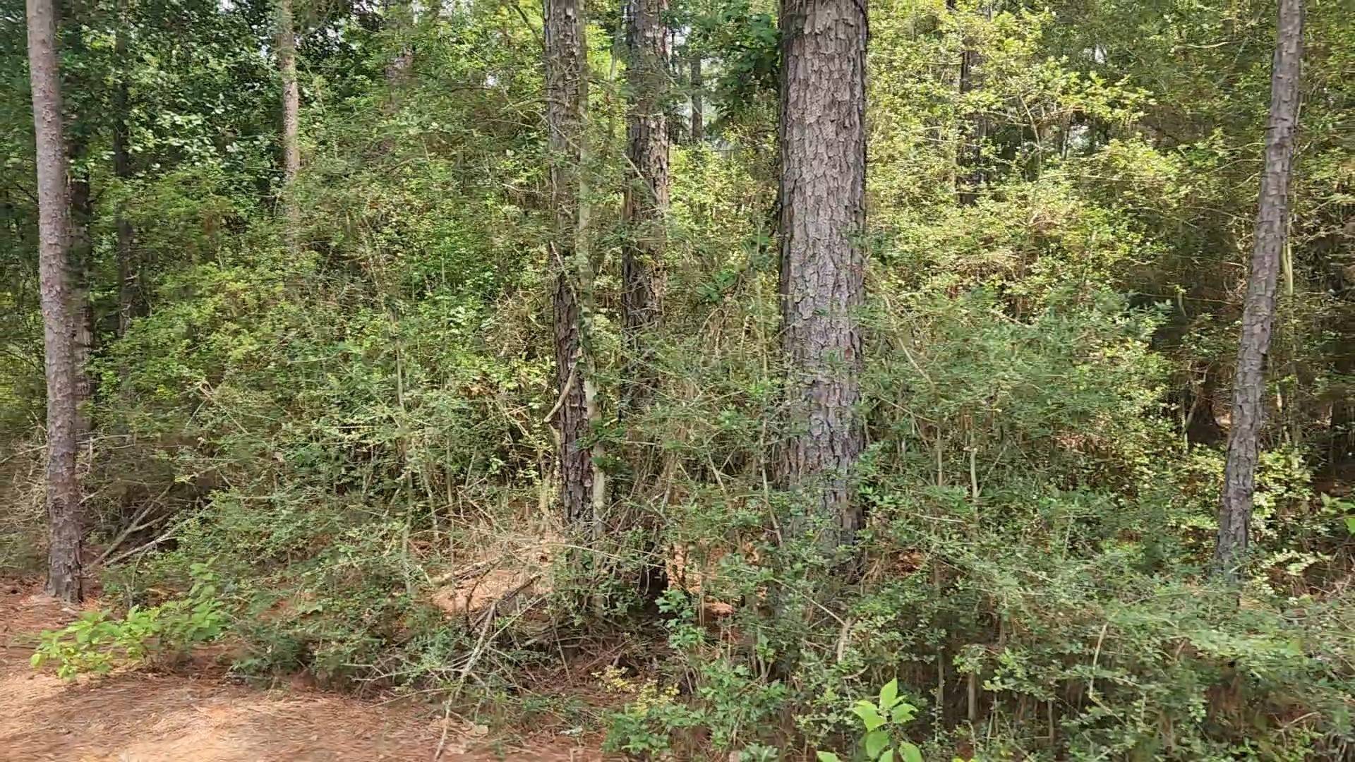 Plantersville, TX 77363,Lot 4 Smokethorn LN