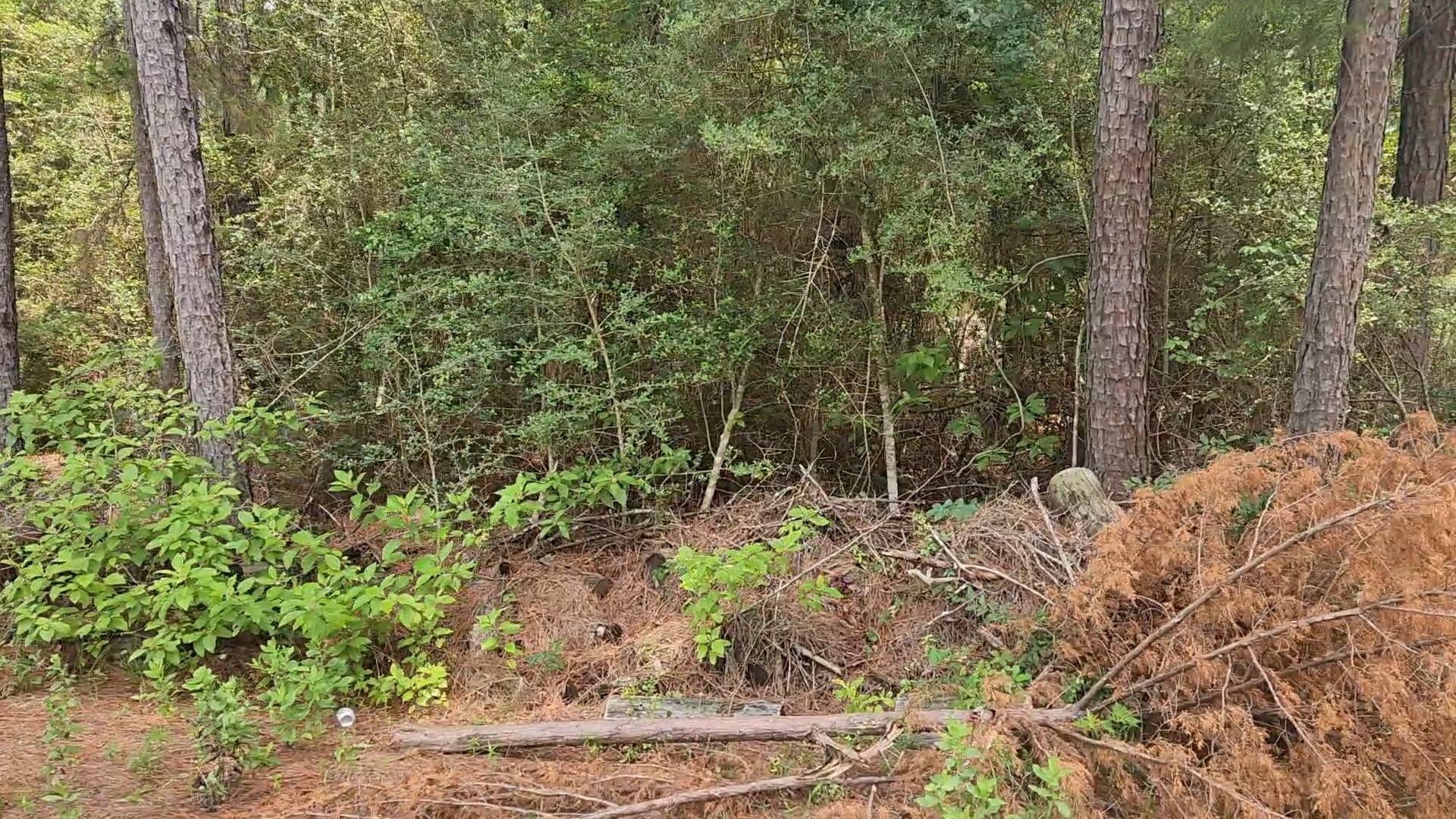 Plantersville, TX 77363,Lot 4 Smokethorn LN