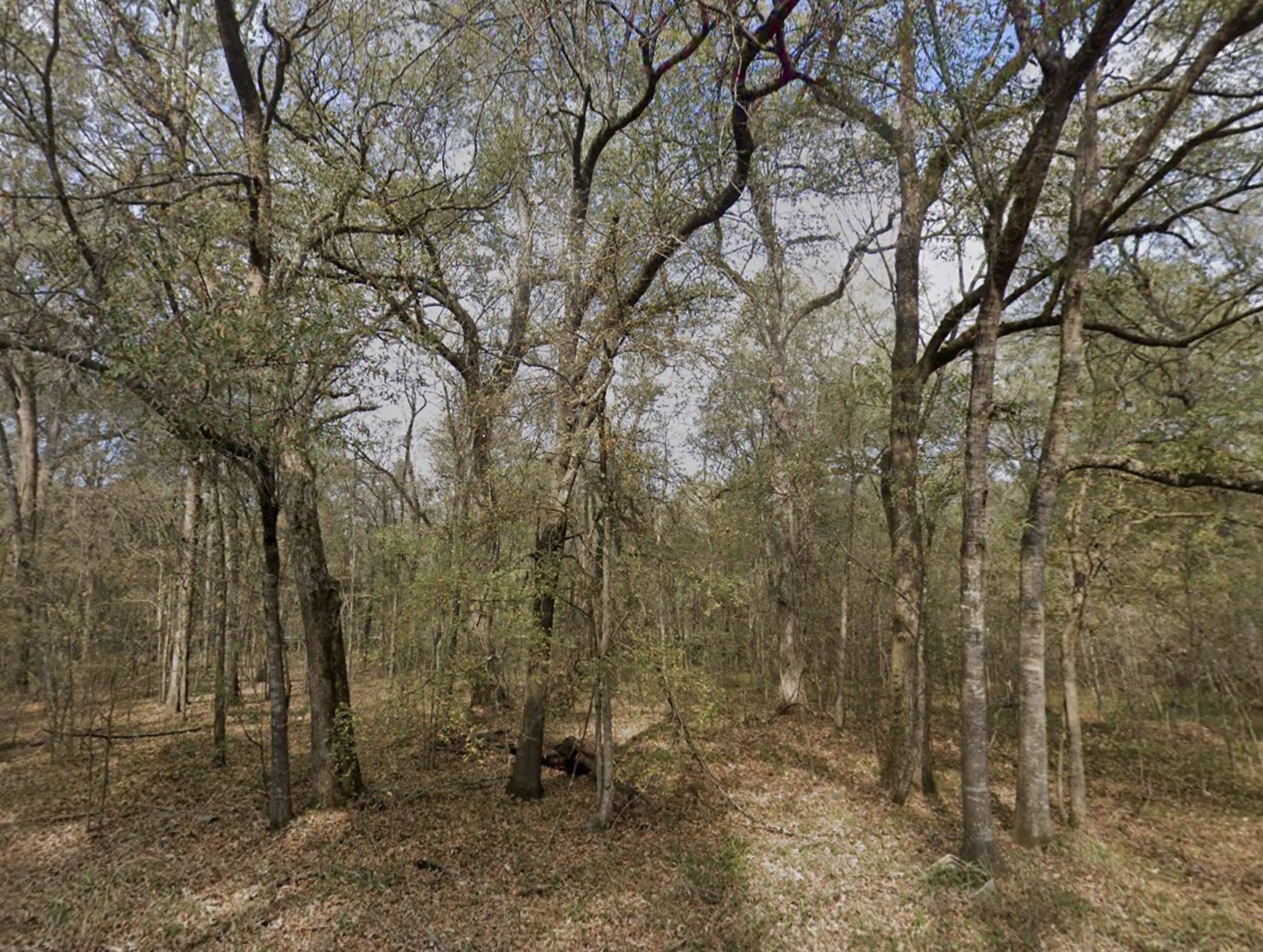 Coldspring, TX 77331,0 Smith ST