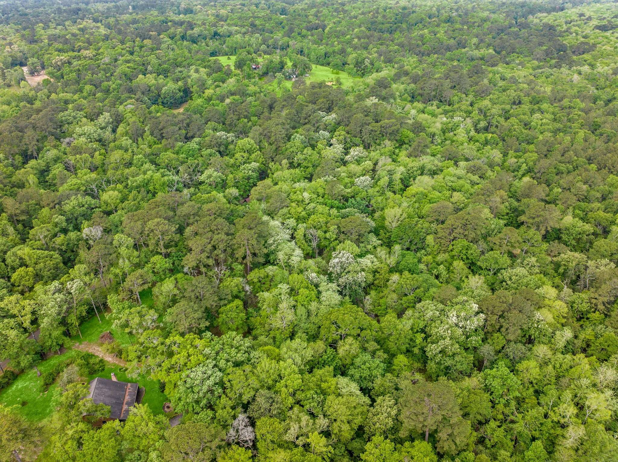 Conroe, TX 77303,17960 Dogwood DR