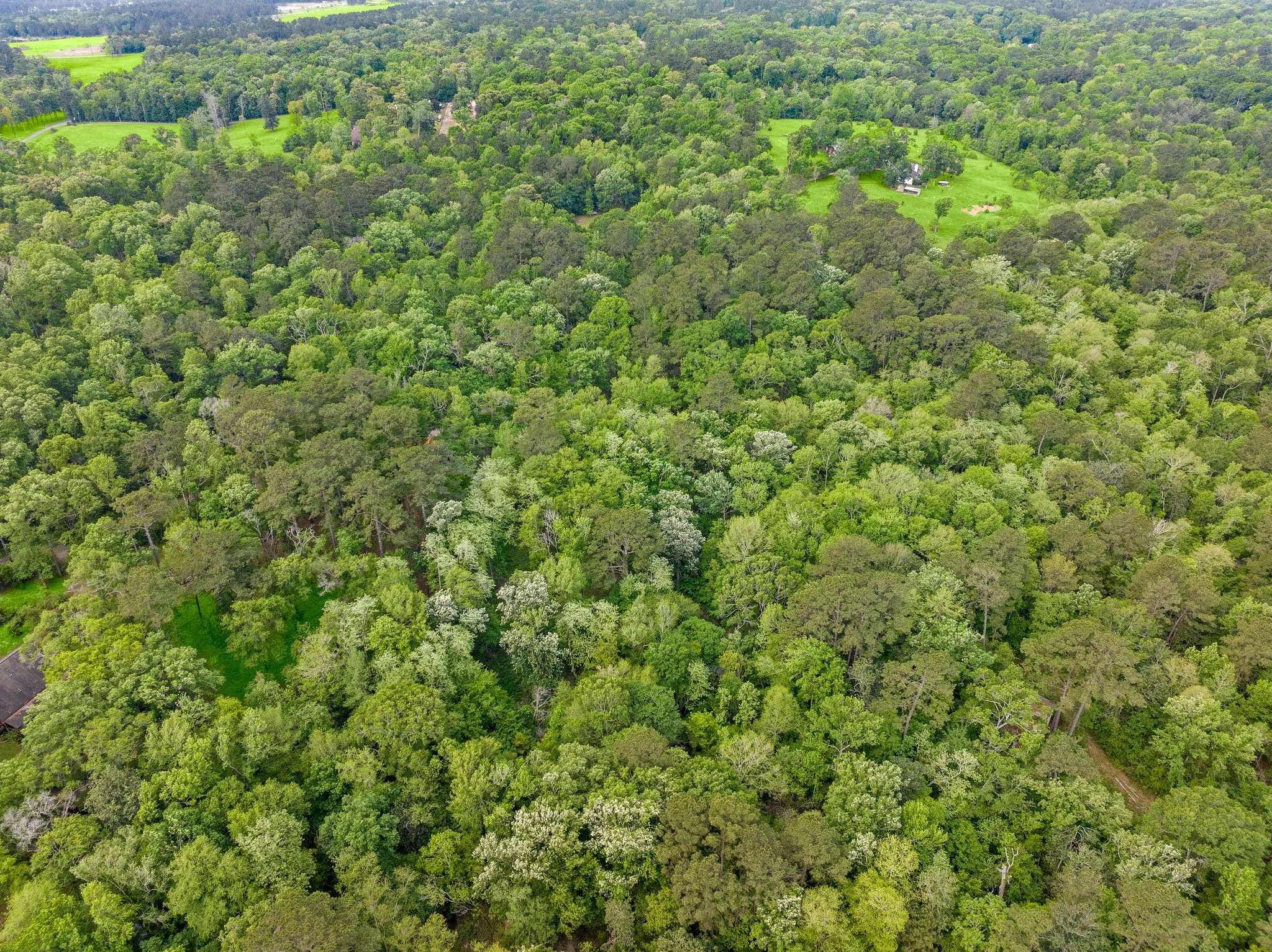 Conroe, TX 77303,17960 Dogwood DR