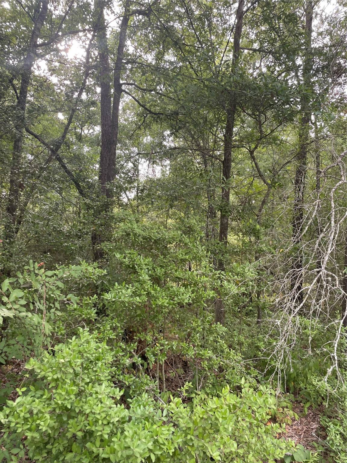 Livingston, TX 77351,201 Deerfield