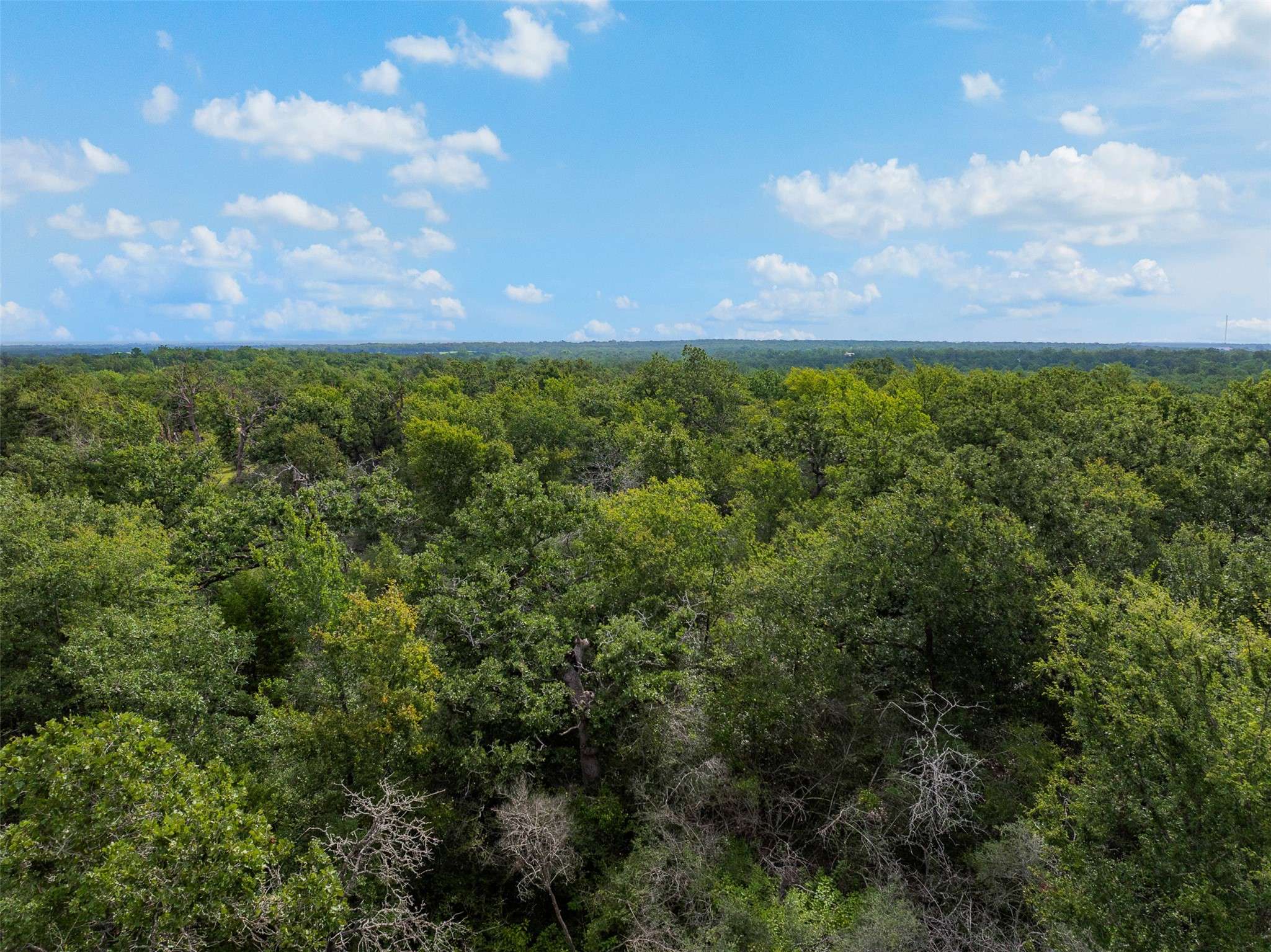 Somerville, TX 77879,531 Moss Oak DR