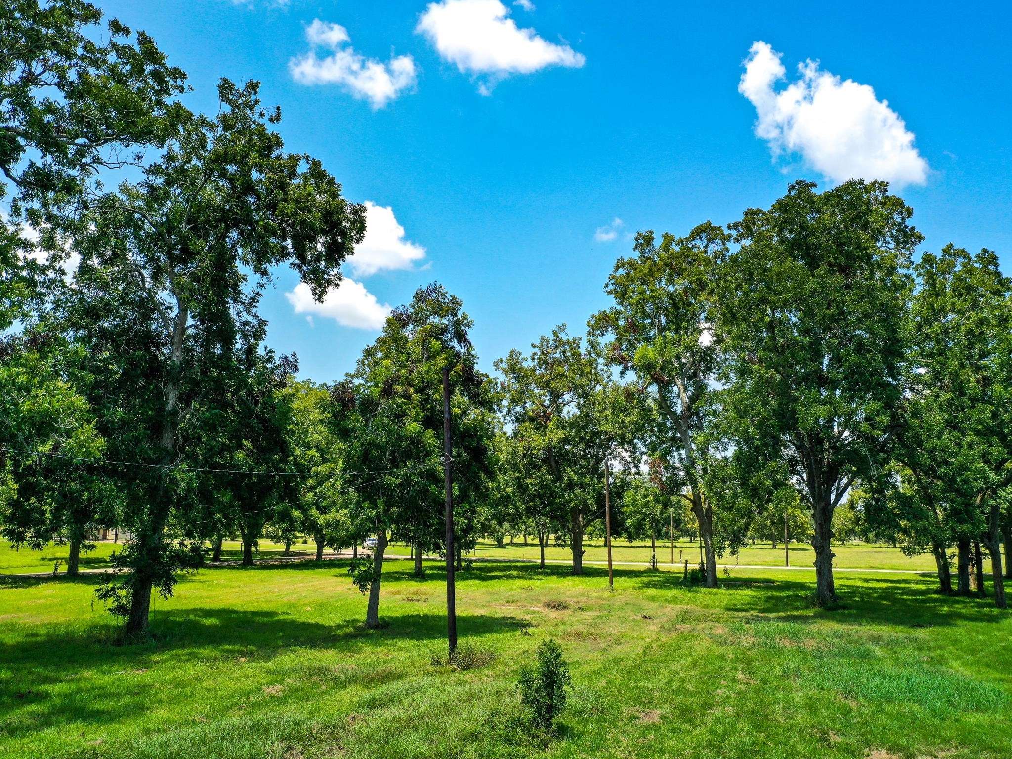 Boling, TX 77420,00 Texasgulf AVE