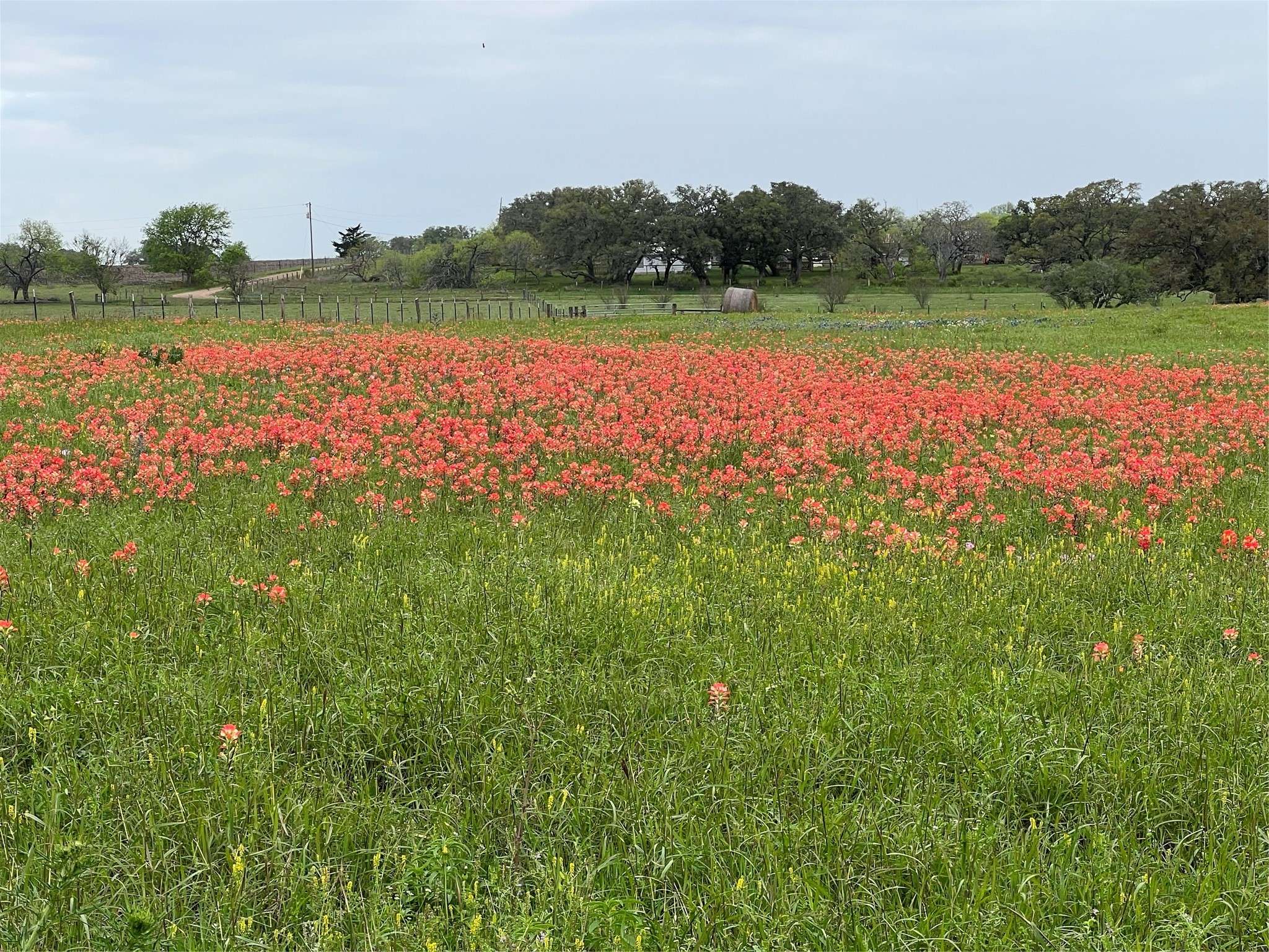 Shiner, TX 77984,TBD US Hwy 90A