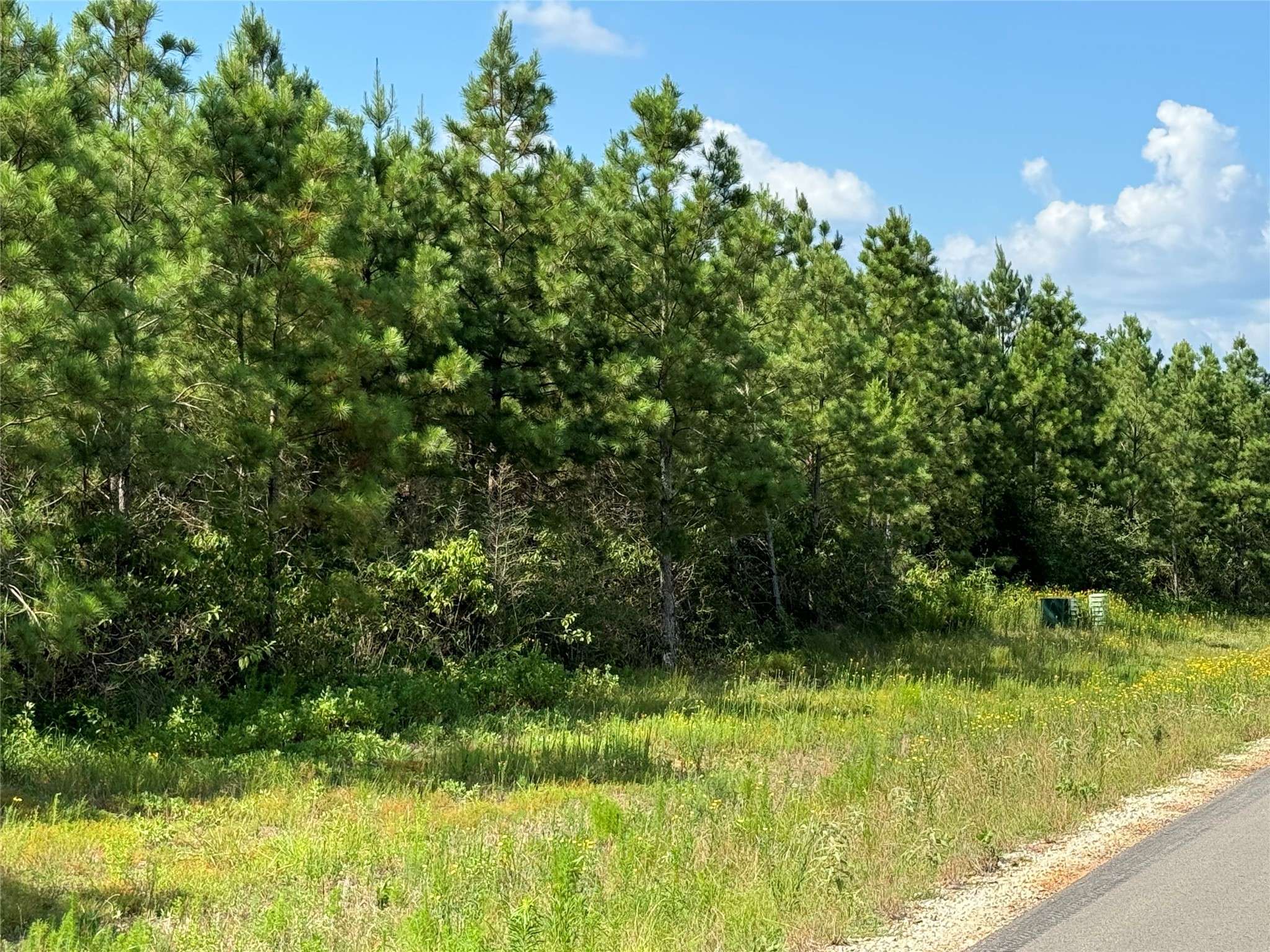 Willis, TX 77378,15727 Ridge Rock RD