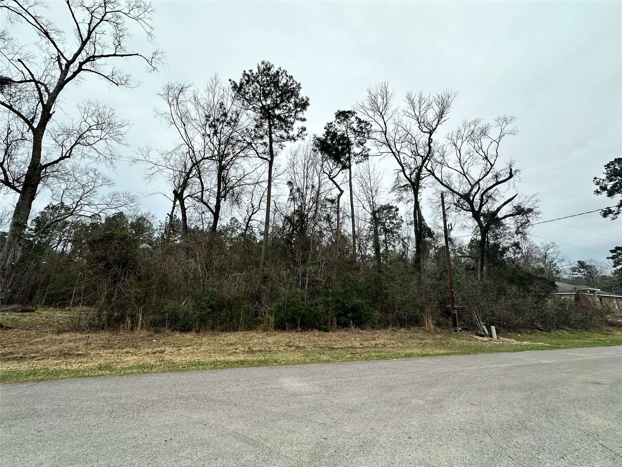 Splendora, TX 77328,10990 Cedar ST