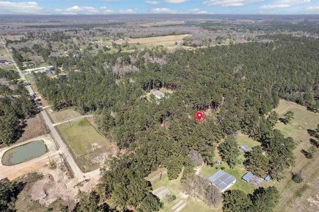 Sour Lake, TX 77659,1465 Dayna LN