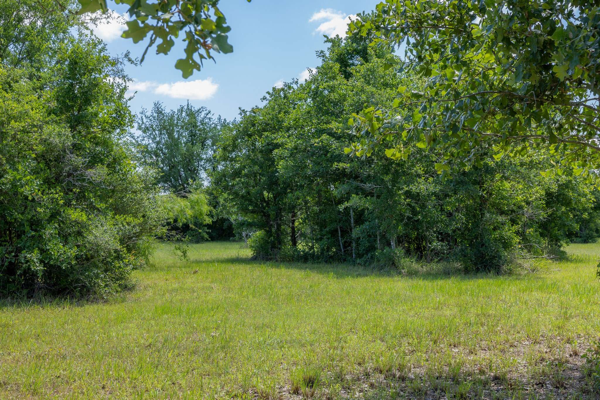 Bedias, TX 77831,6748 Atakapan Trail