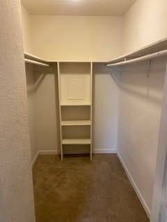 Houston, TX 77071,8100 Creekbend DR #126