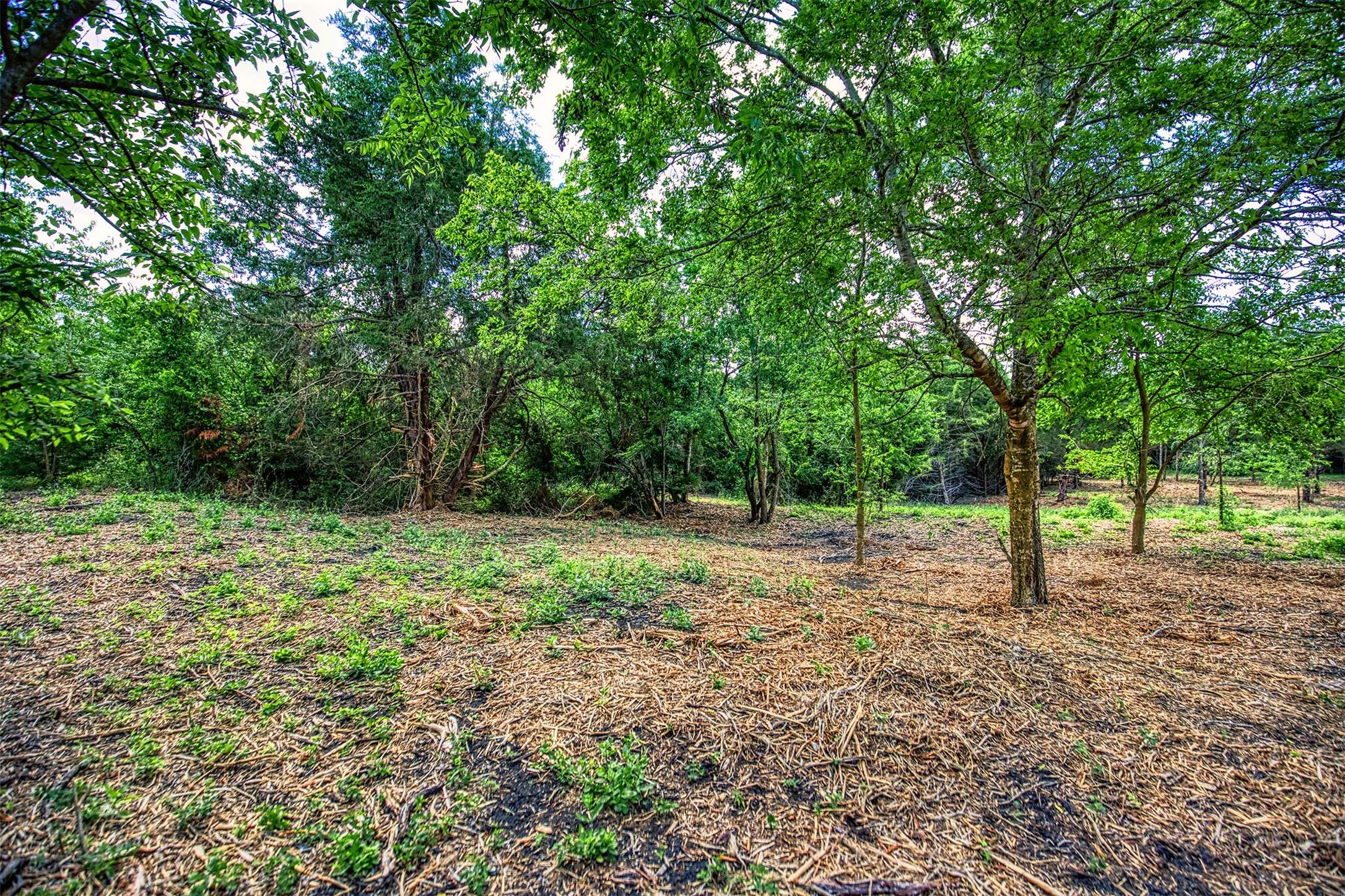Chappell Hill, TX 77426,Lot 8 Wonder Hill RD