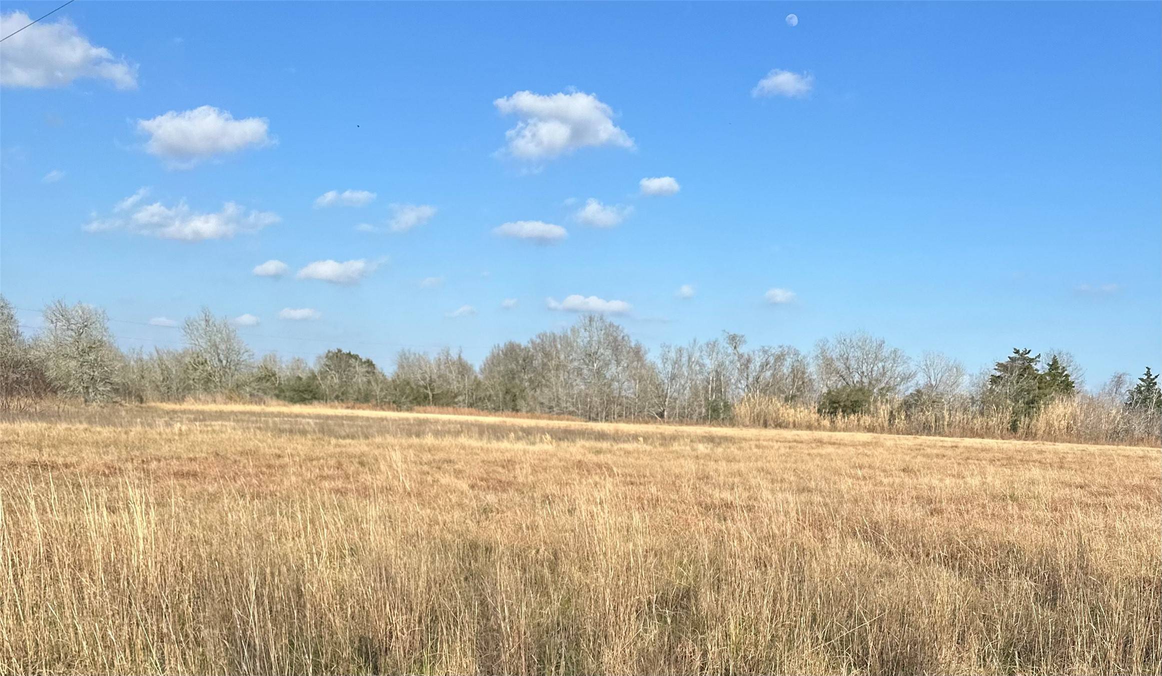 Wallis, TX 77485,TBD Tx-36/Hatton - Tract 2 RD