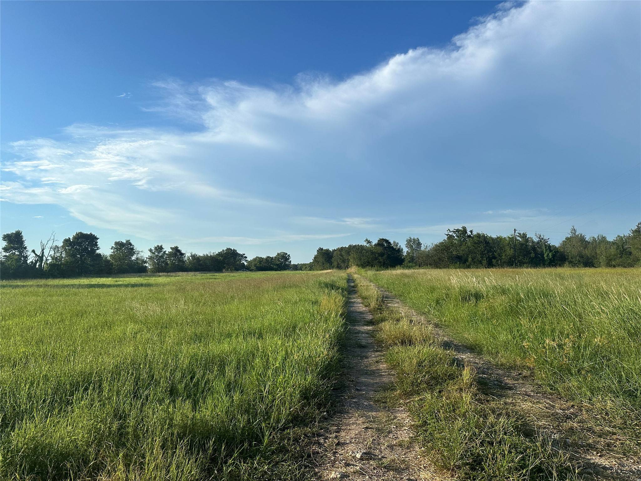Wallis, TX 77485,TBD Tx-36/Hatton - Tract 2 RD