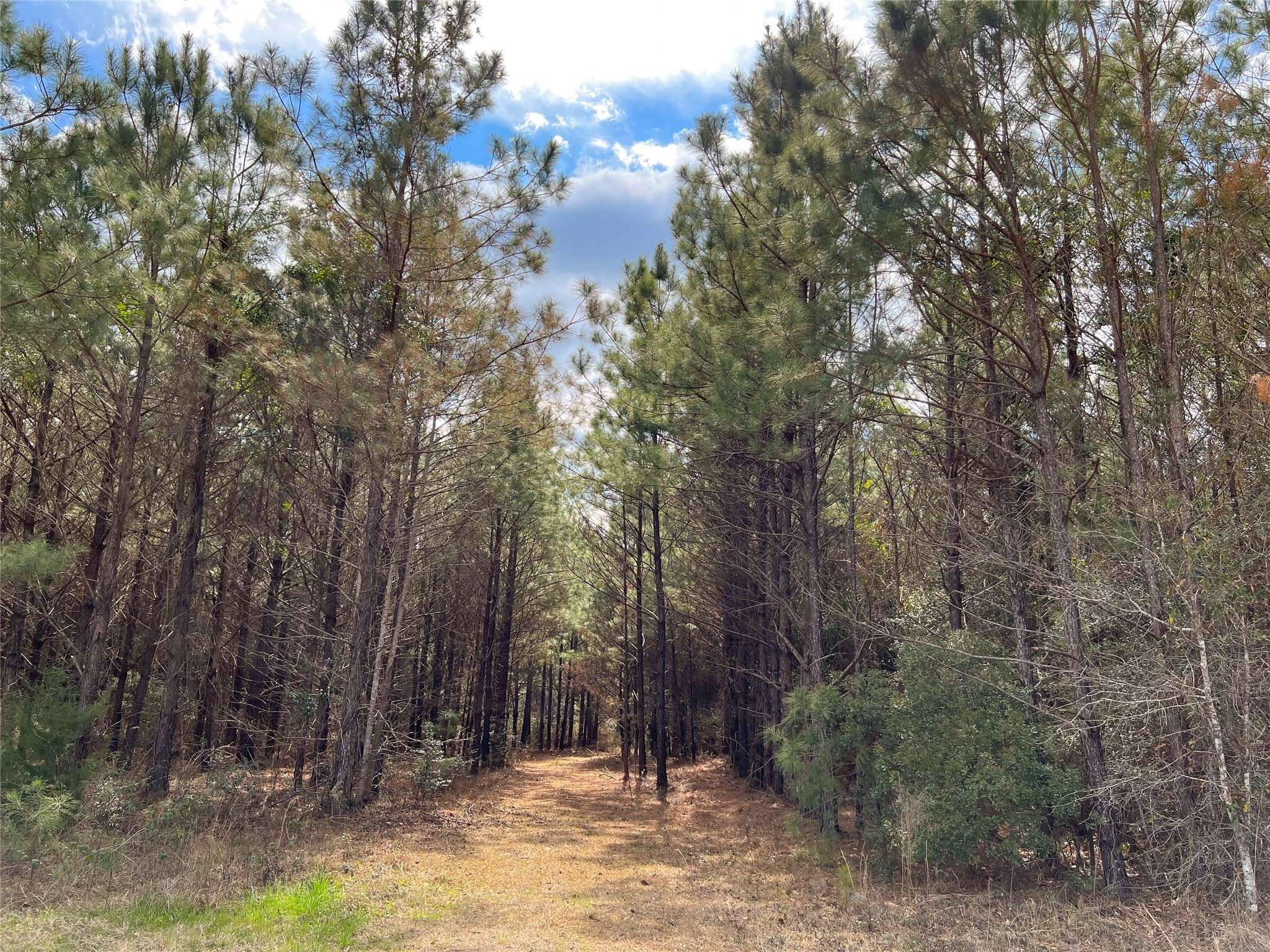 Spurger, TX 77660,10 FM 1746