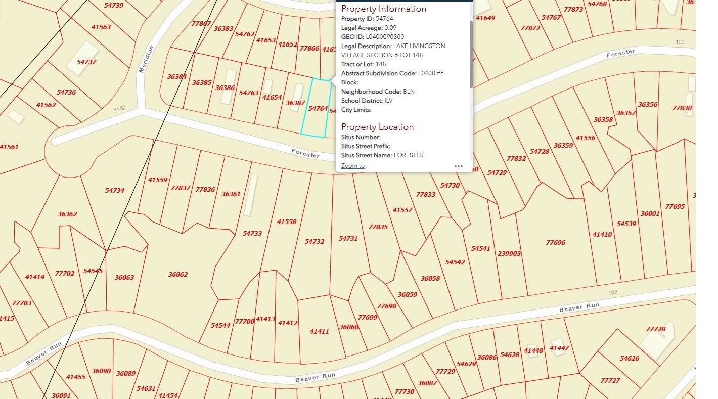Livingston, TX 77351,260 Forester