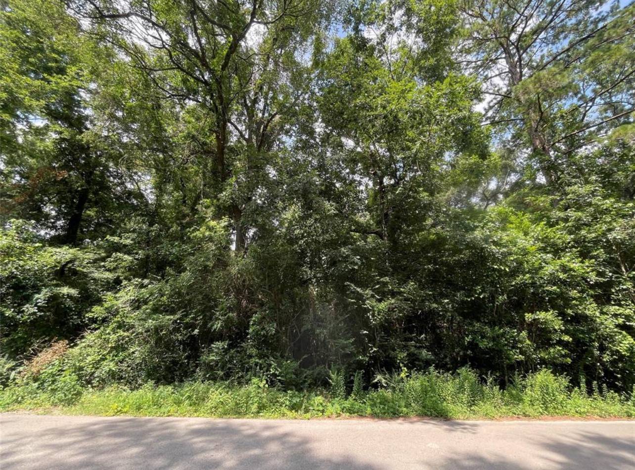 Woodbranch, TX 77357,181 Maple LN