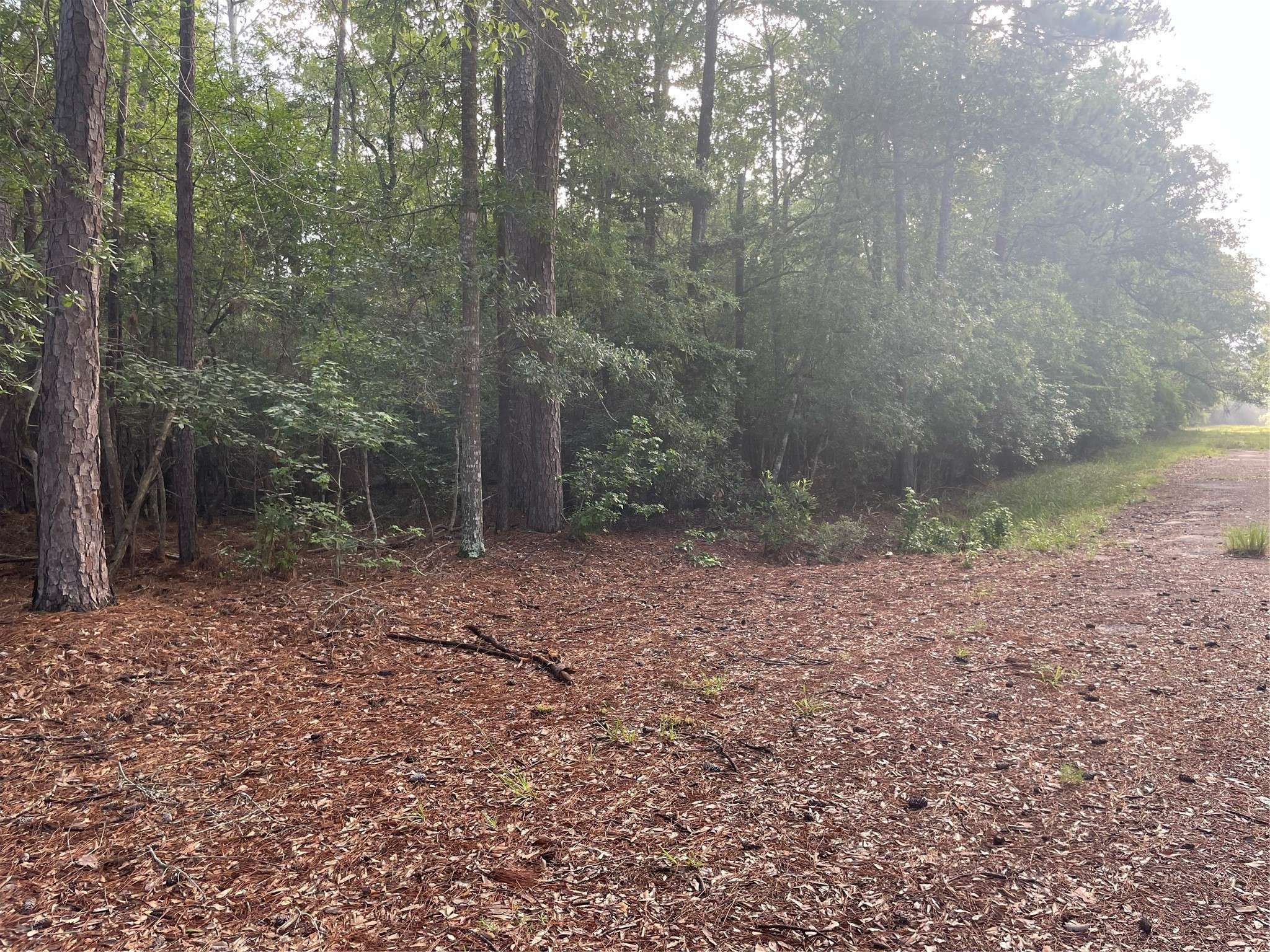 Village Mills, TX 77663,LOT 2 Buckeye ST W