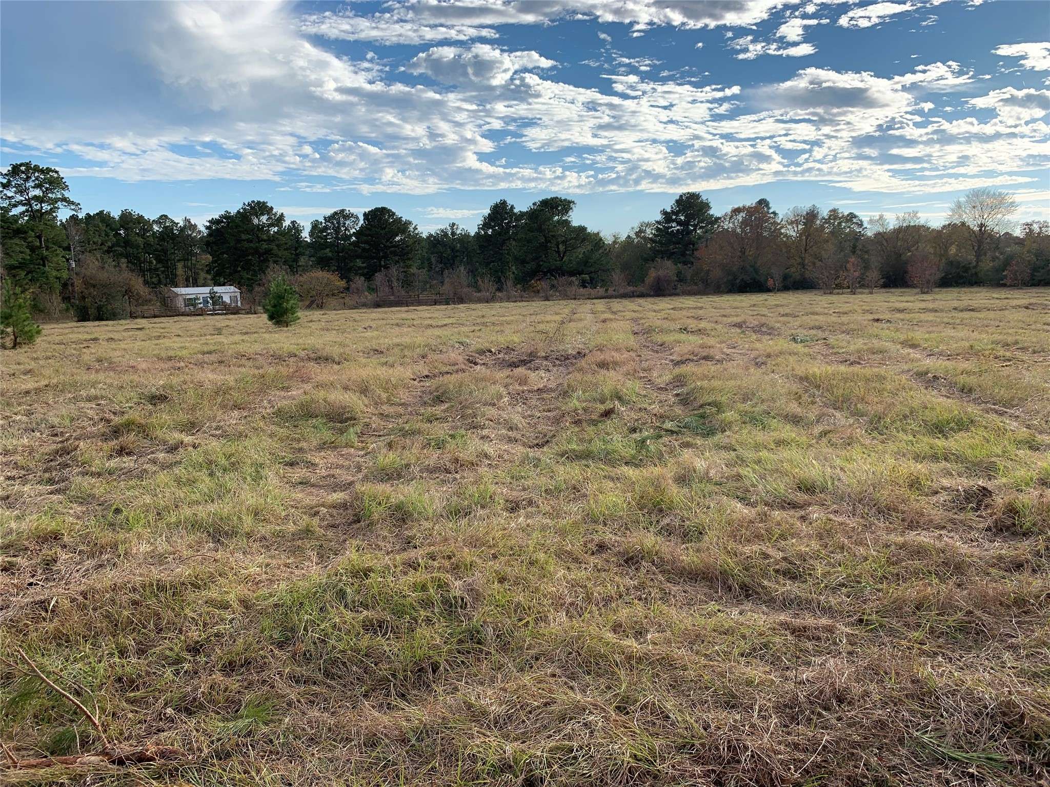 Trinity, TX 75862,TBD Arndts LN