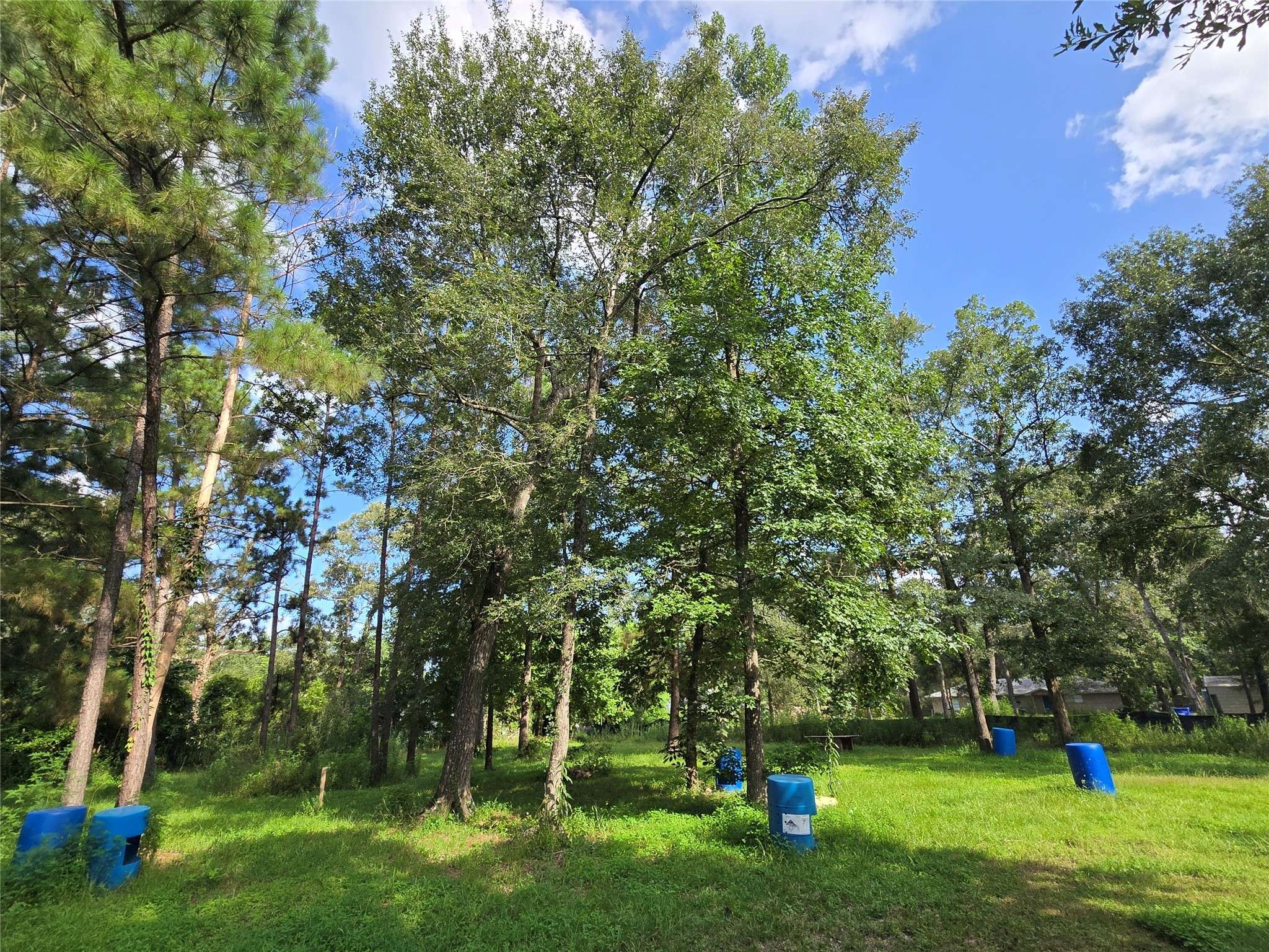Cleveland, TX 77328,491 Perry LN