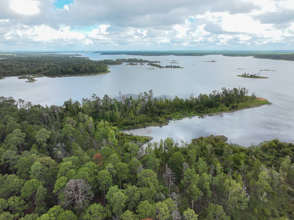 Broaddus, TX 75929,00000000 Off of FM 705