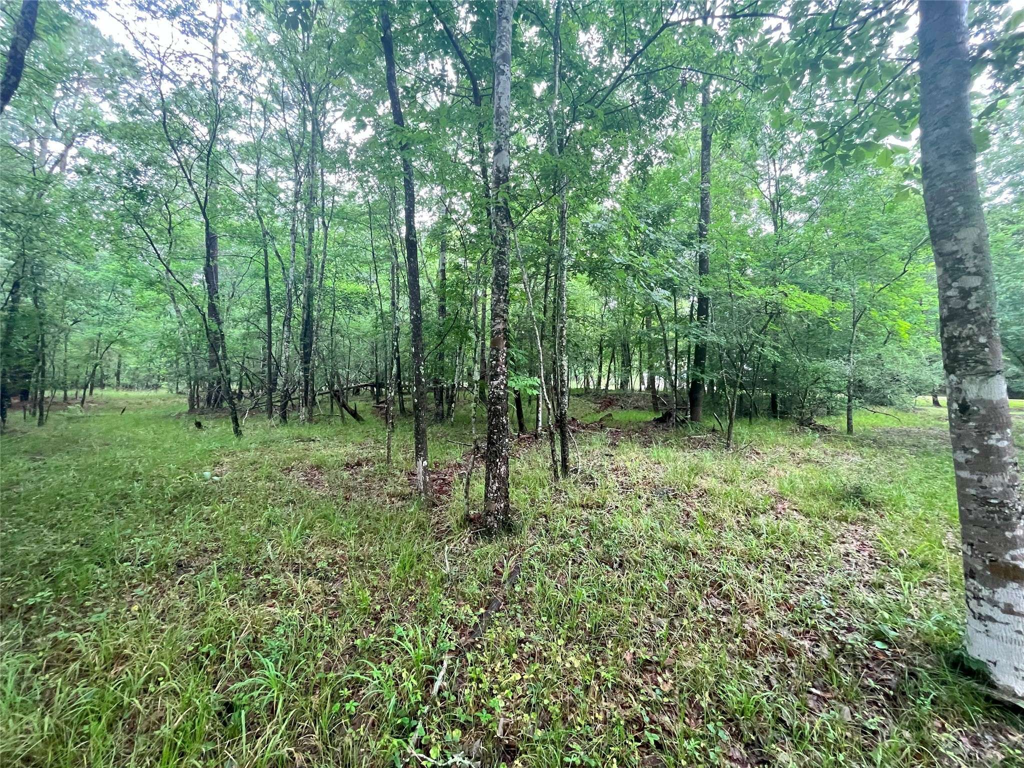 Coldspring, TX 77331,74 S Royale Greens DR