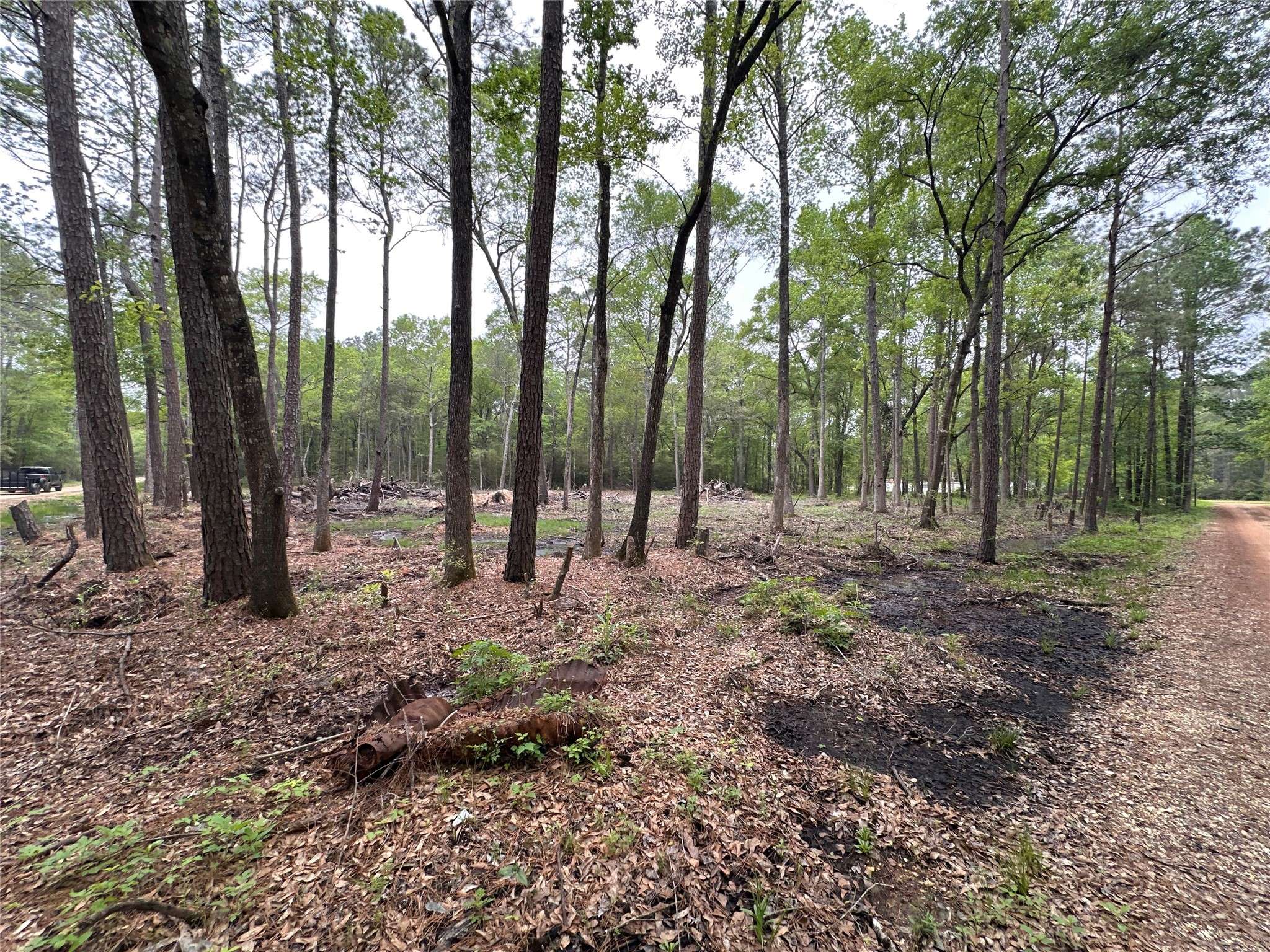 Plantersville, TX 77363,Lot 10 Largent DR
