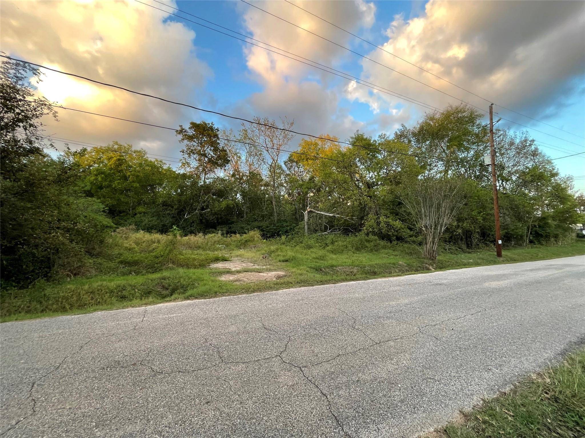 Tomball, TX 77375,927 Lizzie LN