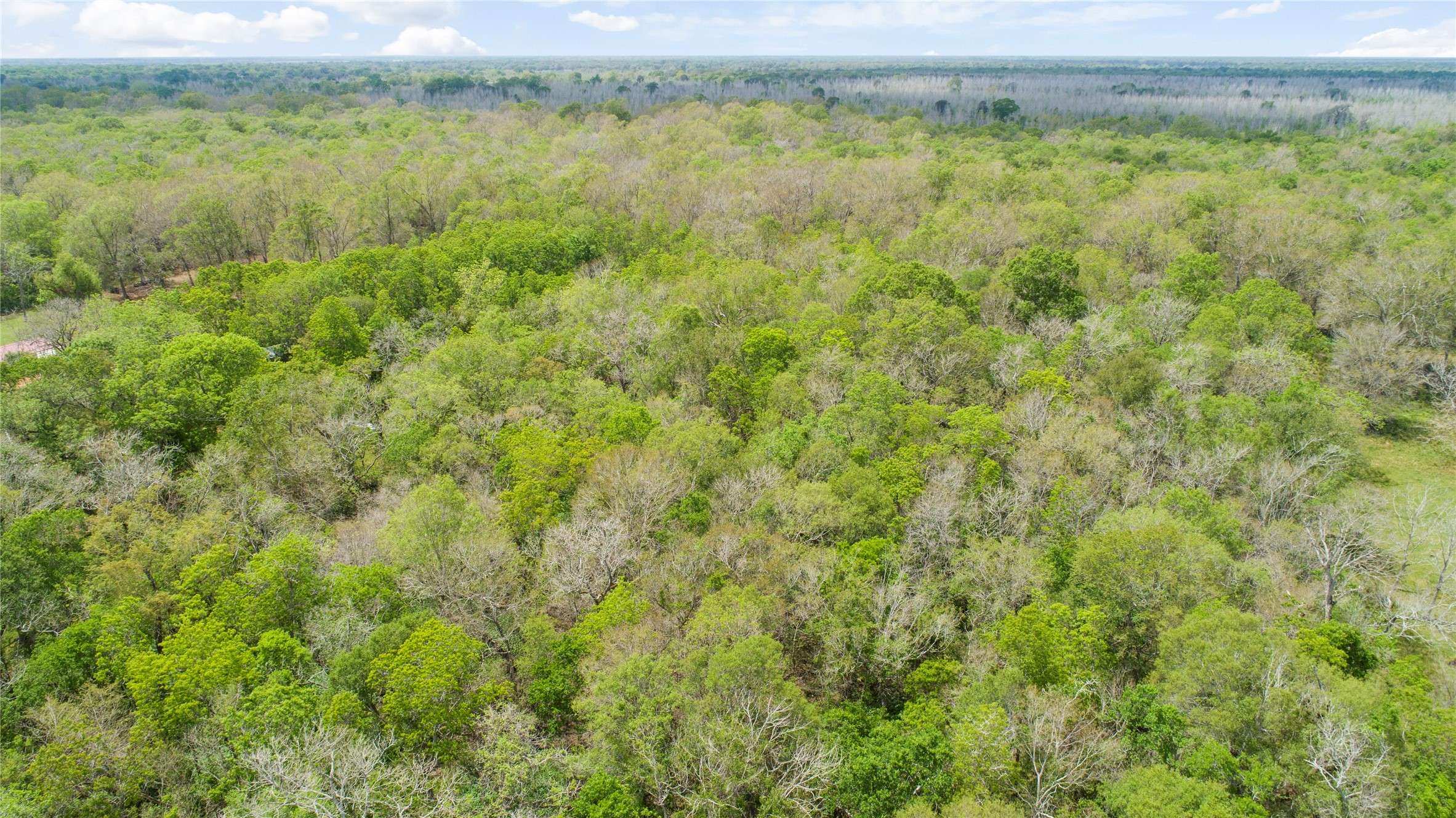 Sweeny, TX 77480,0 County Road 289