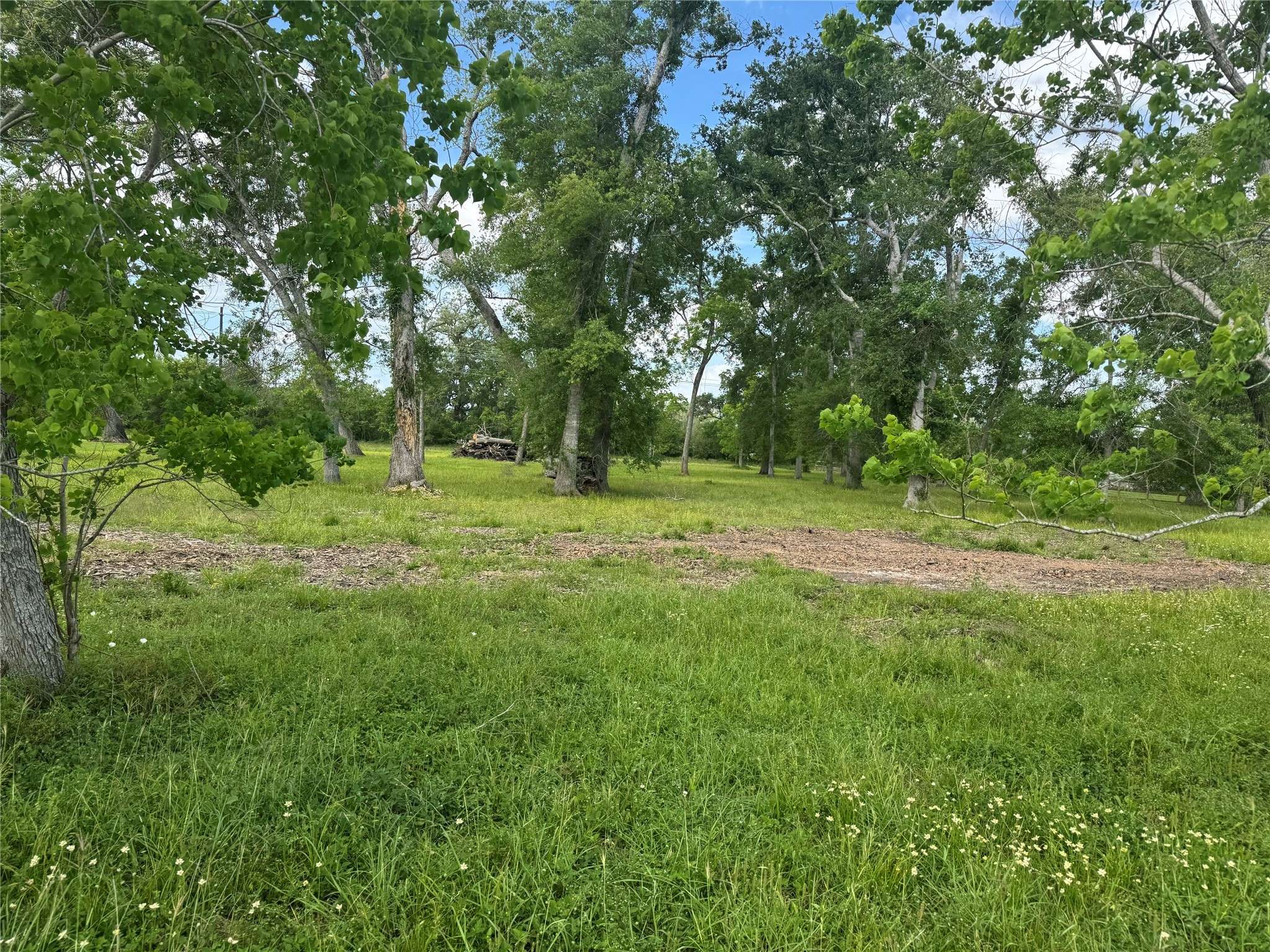 Rosharon, TX 77583,17114 Hamill DR