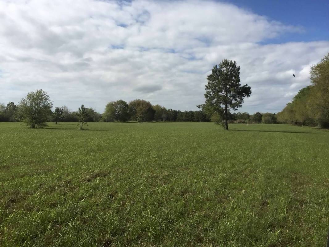 Double Bayou, TX 77514,426 Standley RD