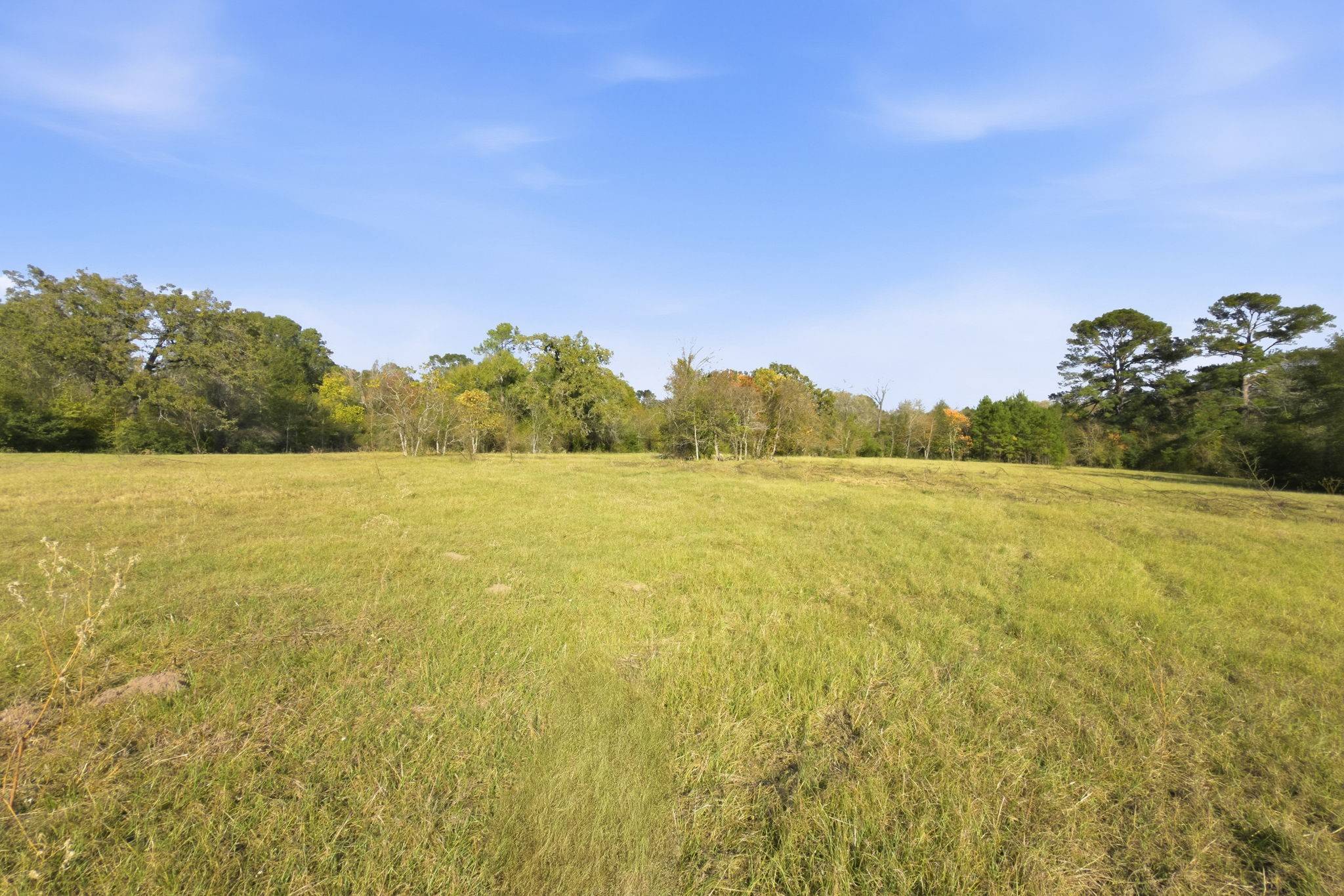 Plantersville, TX 77363,TBD County Rd 204