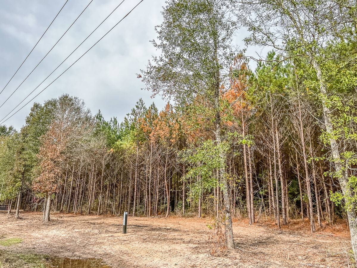 Moss Hill, TX 77327,0016 CR 2305 S