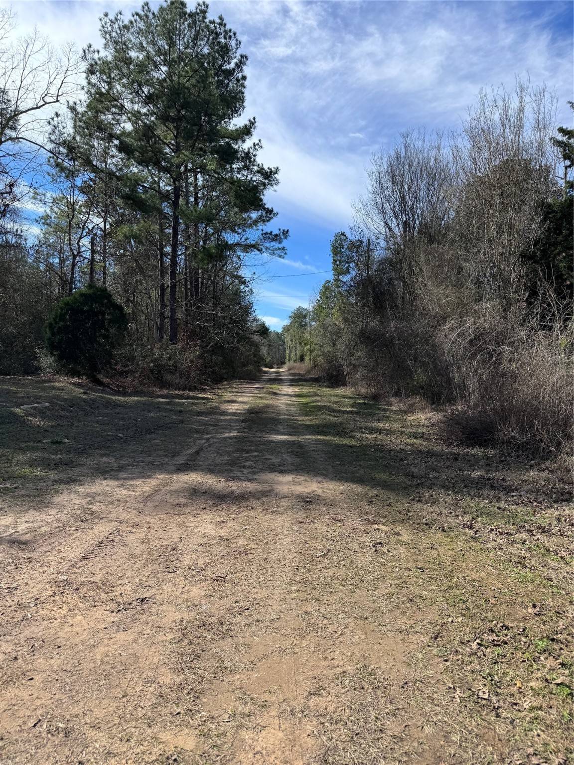 Cleveland, TX 77327,TBD CR 2669,2670,