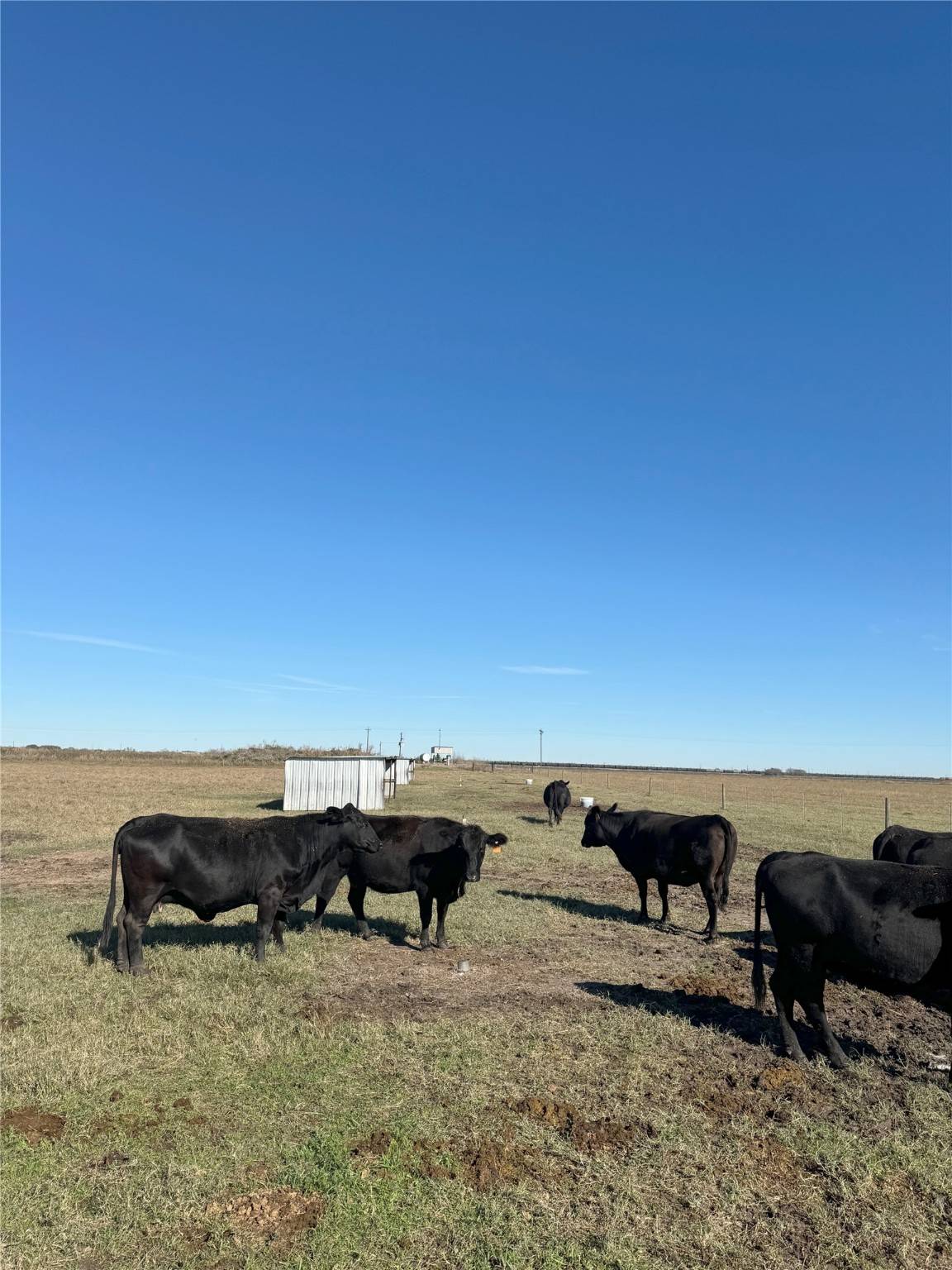 Louise, TX 77455,00 County Road 312