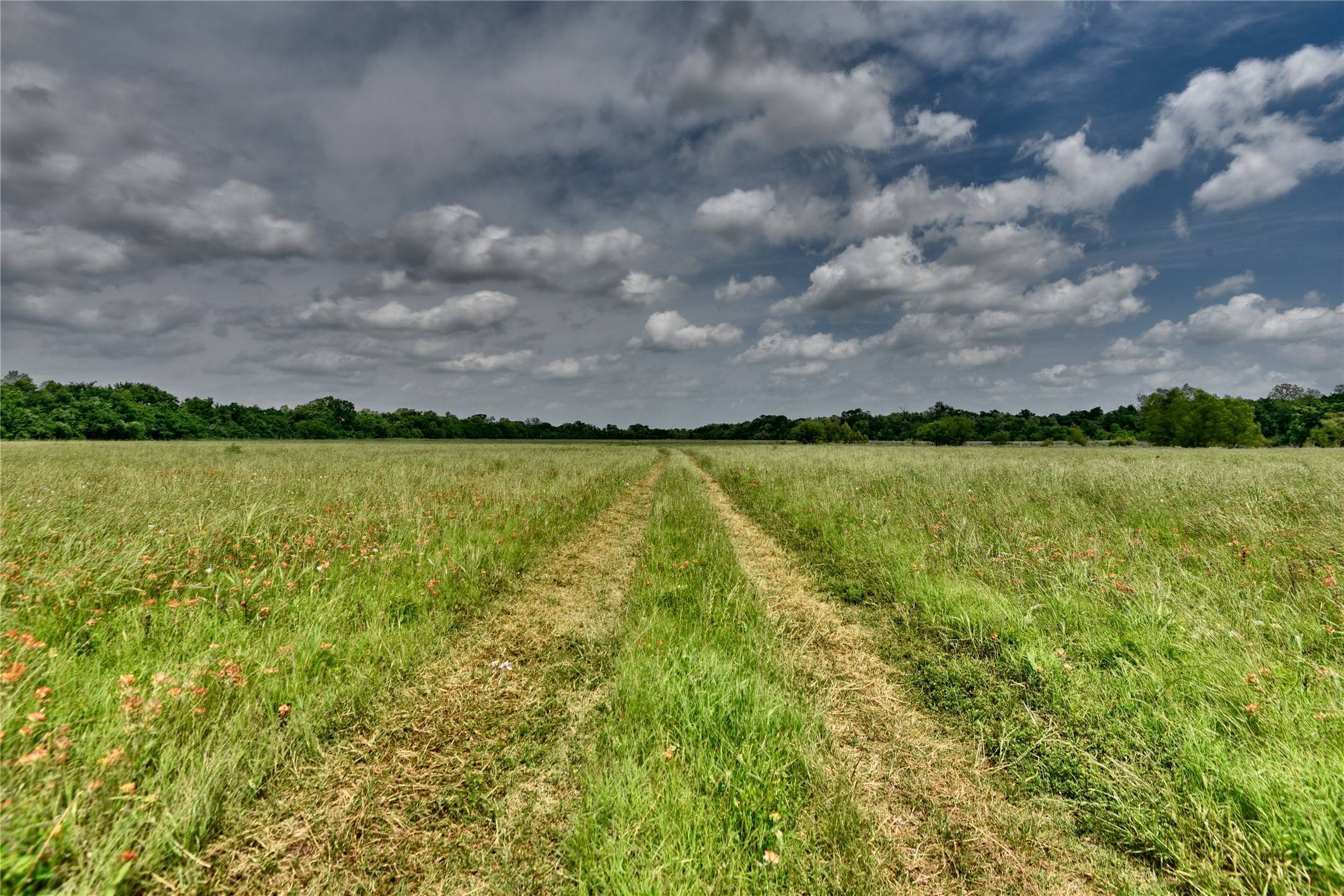 Navasota, TX 77868,TBD River Haven Dr