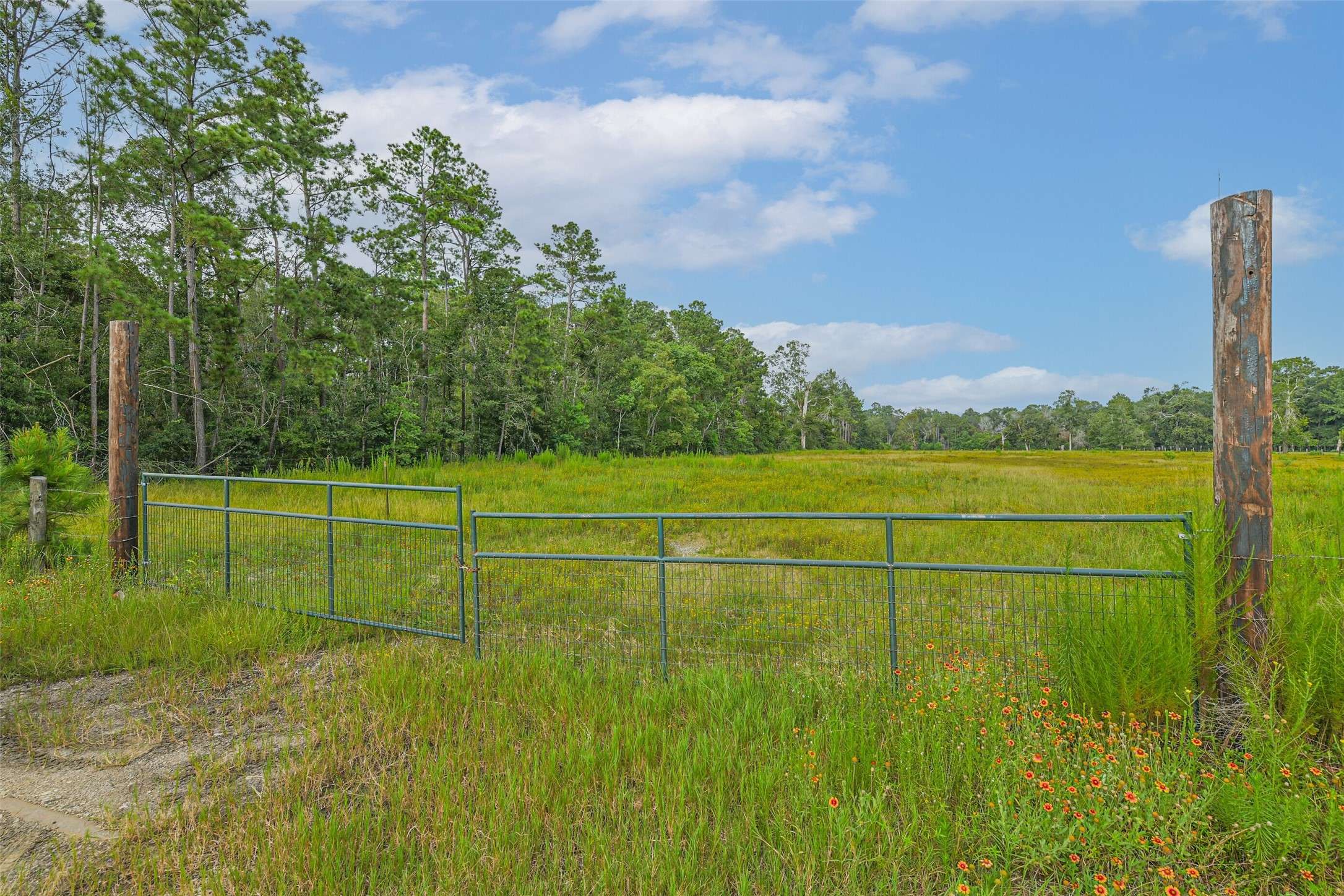 Conroe, TX 77306,16015 Firetower RD