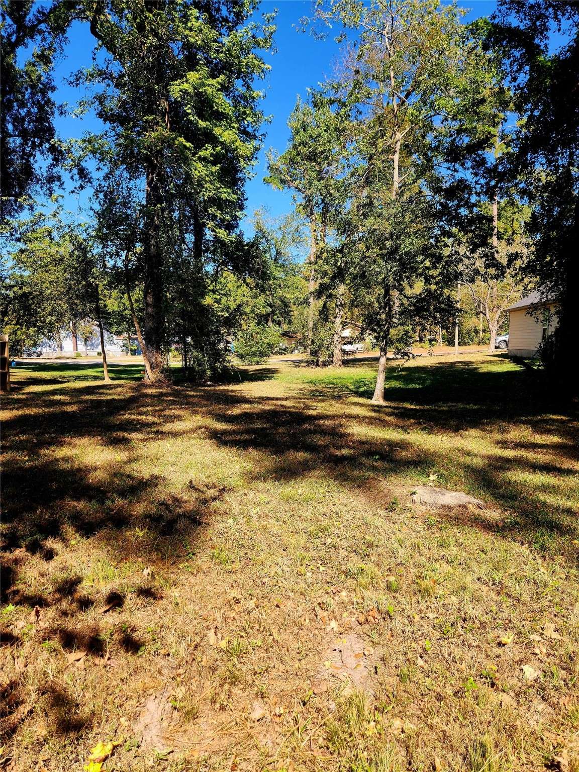 Willis, TX 77318,14029 Jamaica