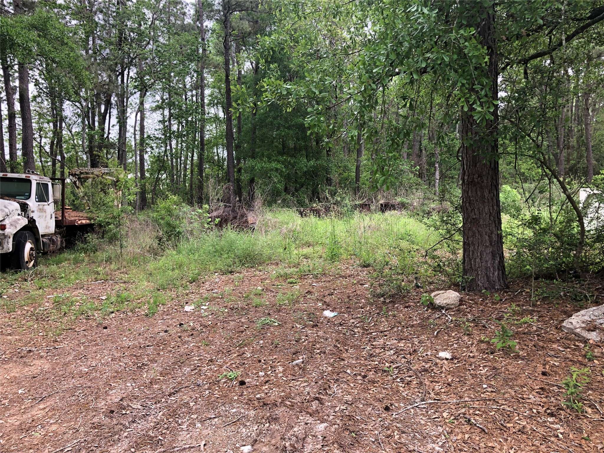 Conroe, TX 77306,tbd Tommy Smith Rd