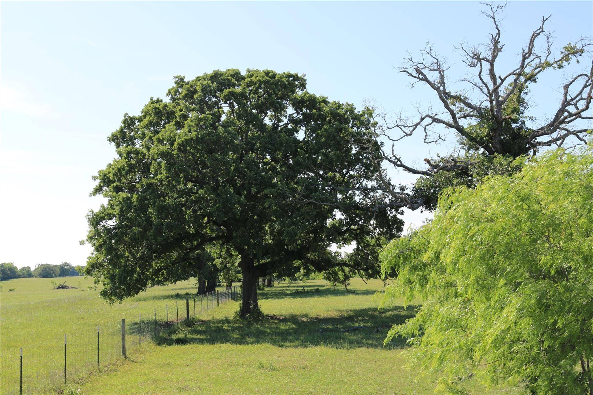 Midway, TX 75852,TBD Turner LN