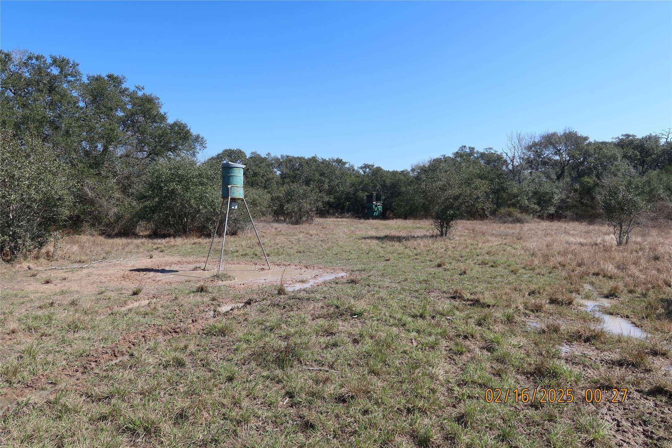 Columbus, TX 78934,1746 CR 103