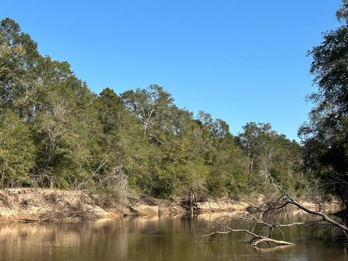 Silsbee, TX 77656,TBD Lindsey Road