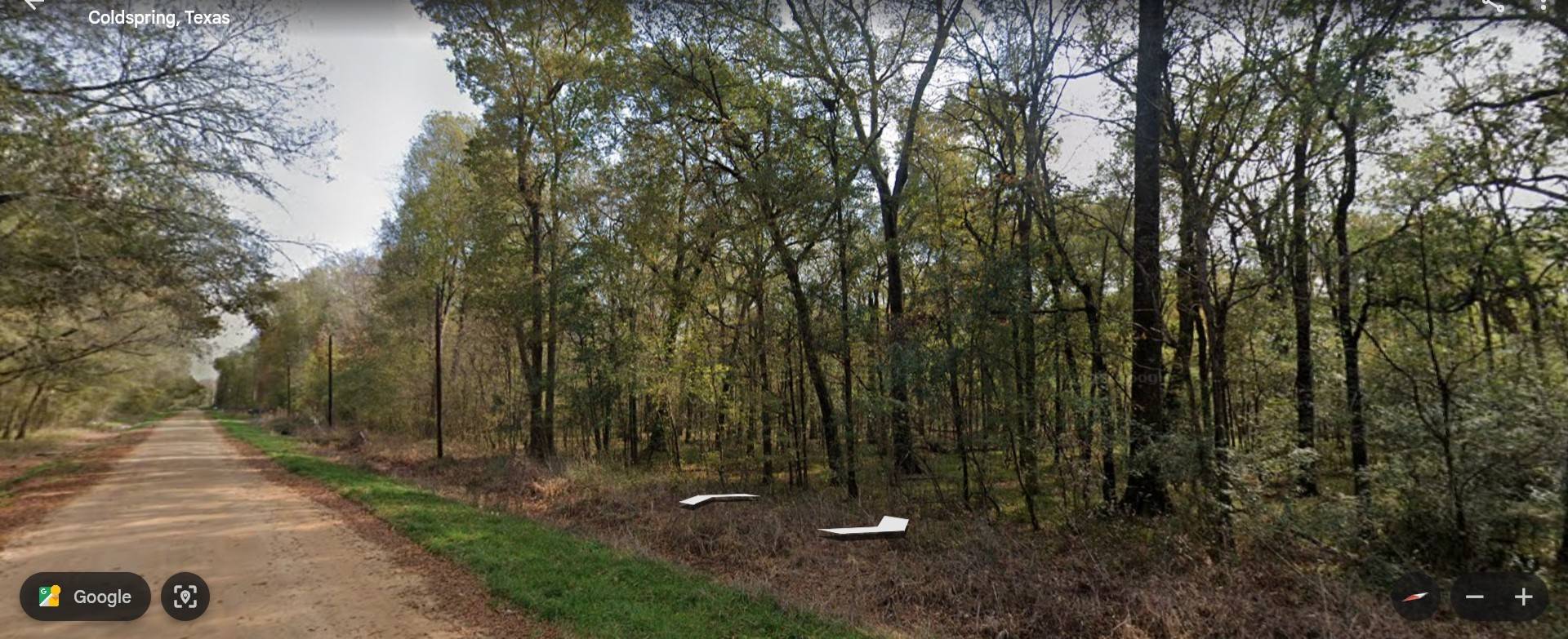 Coldspring, TX 77331,TBD Smith ST